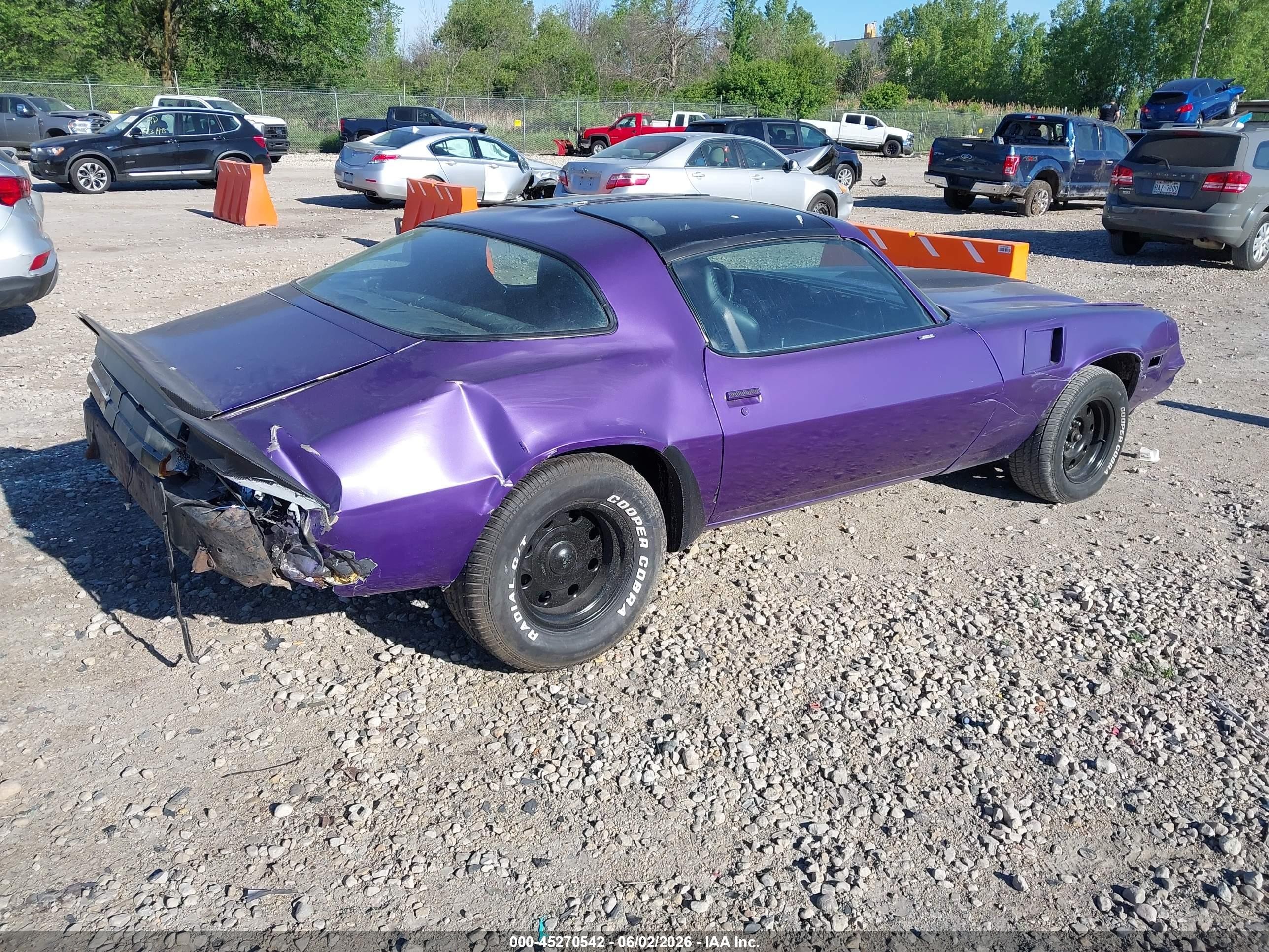 1981 Chevrolet Camaro   Purple vin: 1G1AP87J4BL181451