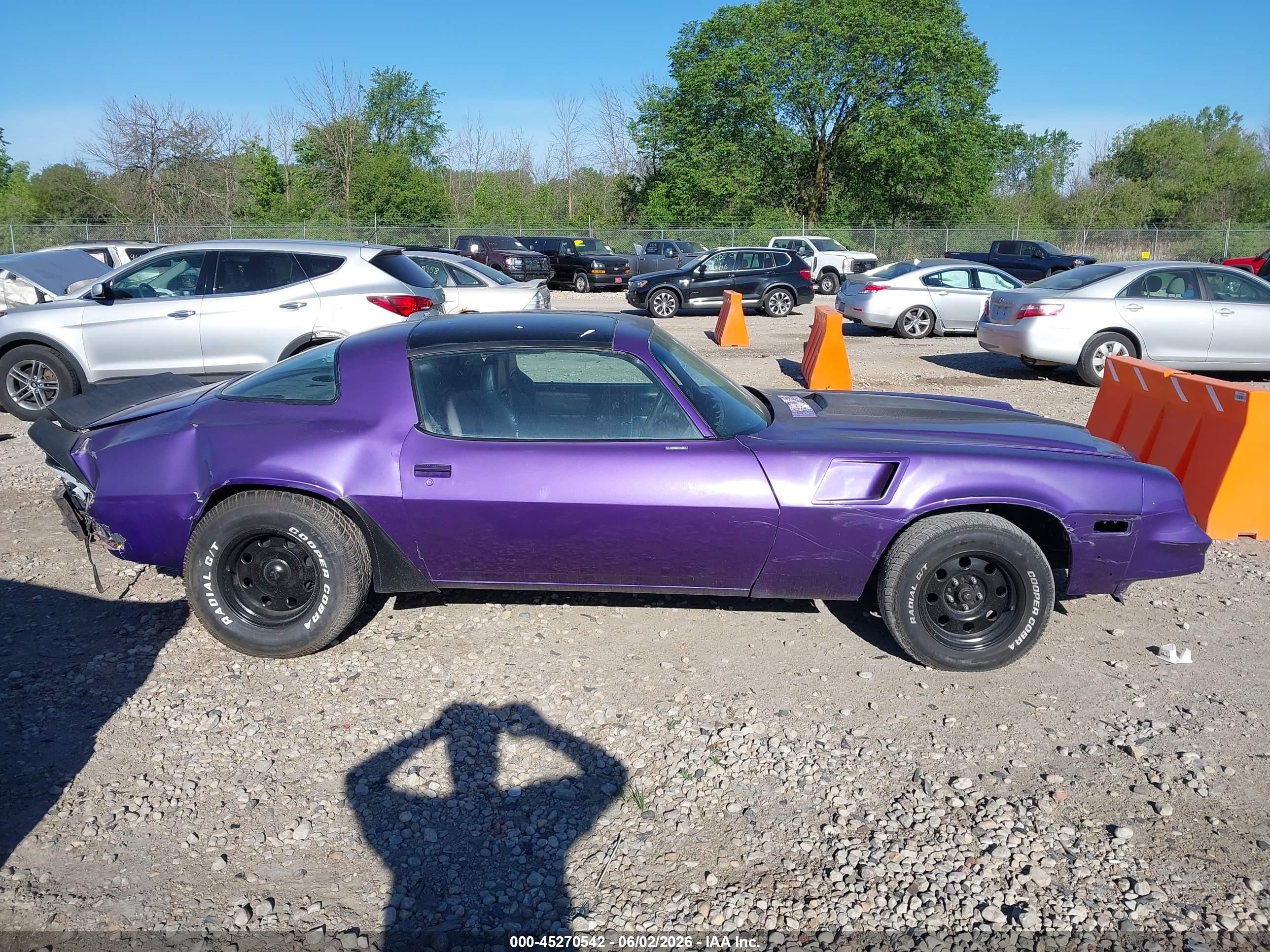 1981 Chevrolet Camaro   Purple vin: 1G1AP87J4BL181451