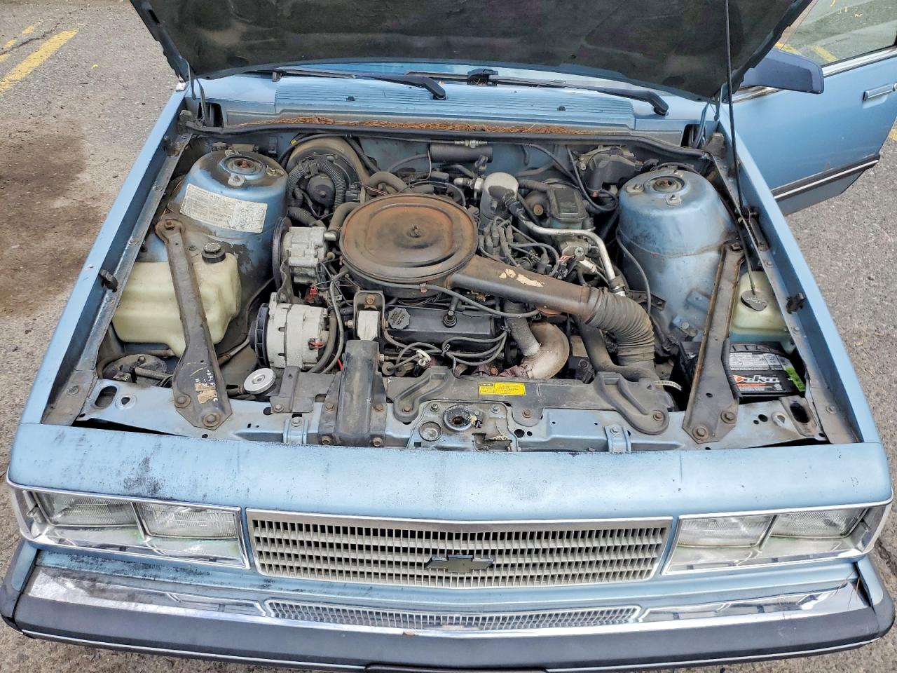 1986 Chevrolet Celebrity Blue vin: 1G1AW19X4GG106180