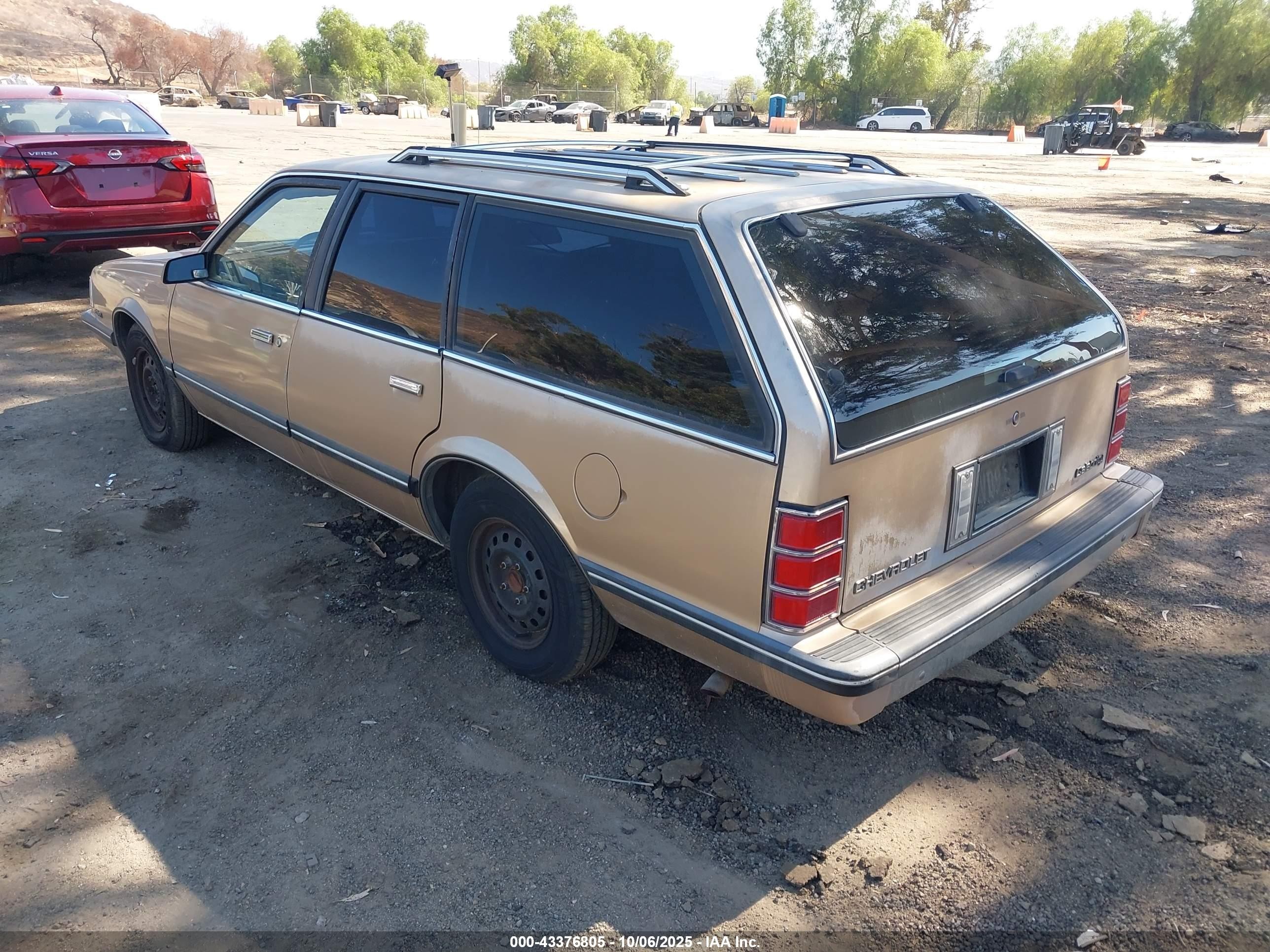 1986 Chevrolet Celebrity   Gold vin: 1G1AW35W9G6180693