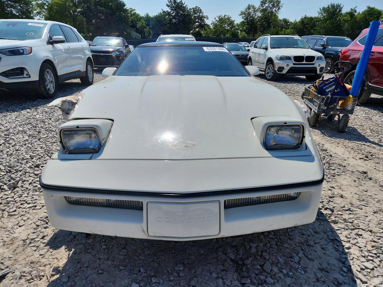 1984 Chevrolet Corvette White vin: 1G1AY0786E5142395
