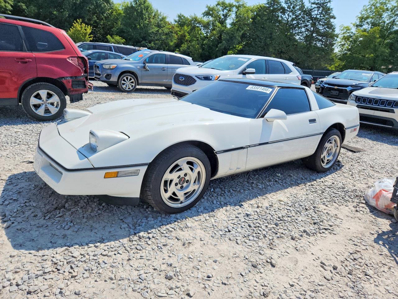 1984 Chevrolet Corvette White vin: 1G1AY0786E5142395