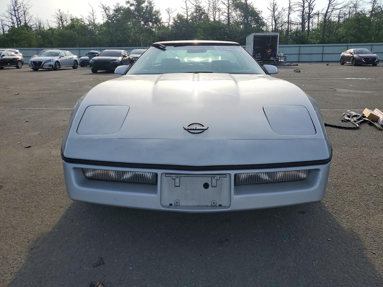 1984 Chevrolet Corvette Серебряный vin: 1G1AY0787E5118770