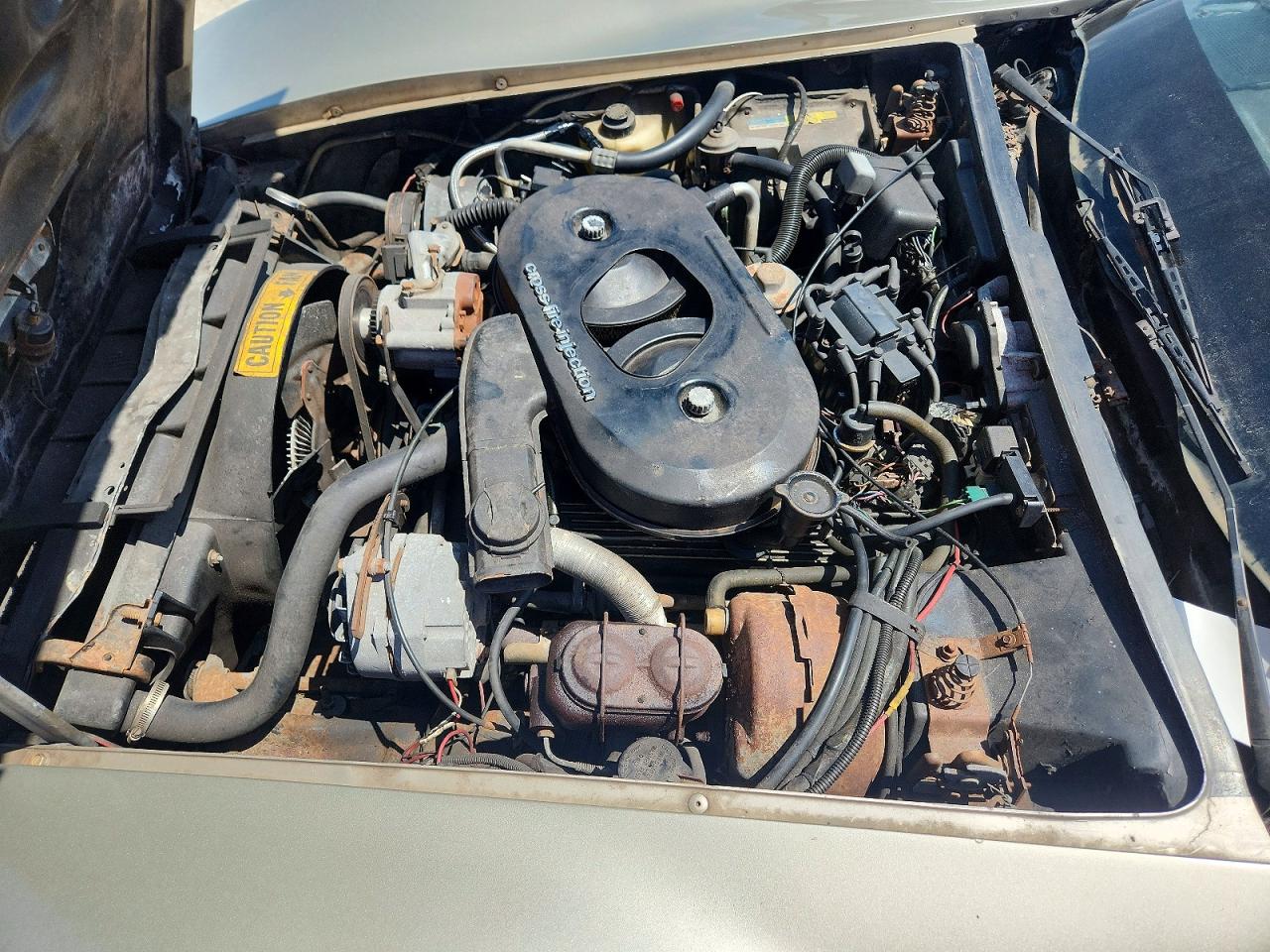 1982 Chevrolet Corvette Tan vin: 1G1AY0788C5121304