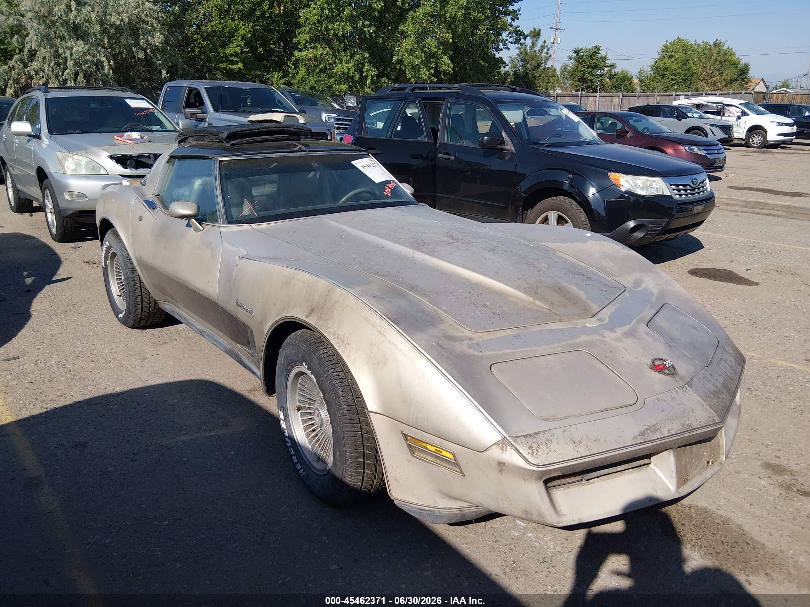 1982 Chevrolet Corvette   Silver vin: 1G1AY0789C5102731