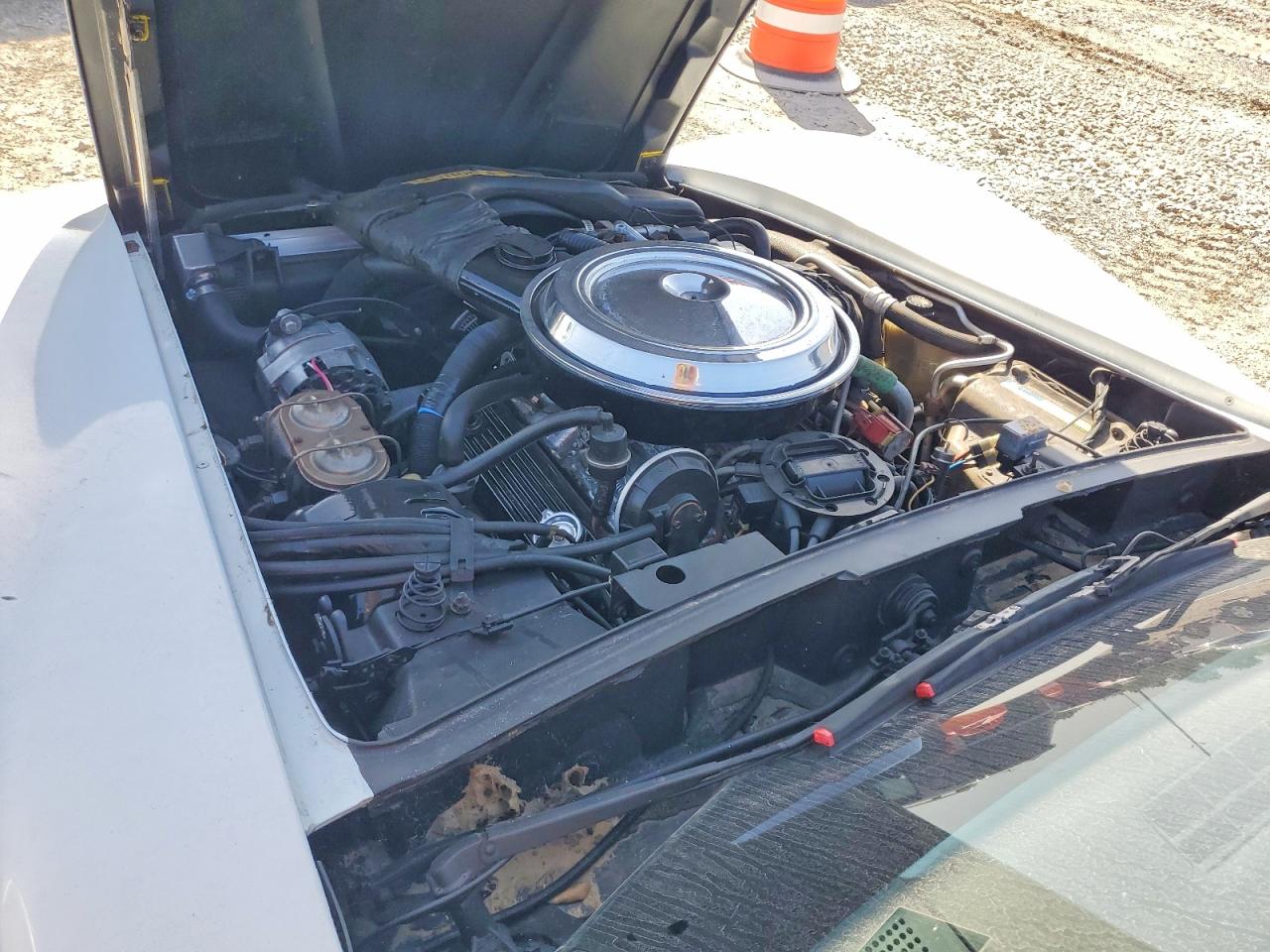 1981 Chevrolet Corvette White vin: 1G1AY8761BS405158