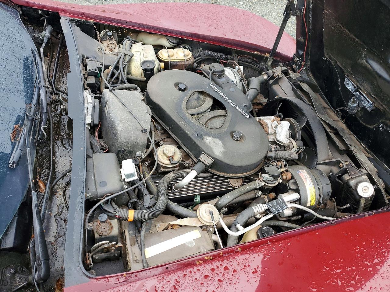 1982 Chevrolet Corvette Burgundy vin: 1G1AY8786C5108775