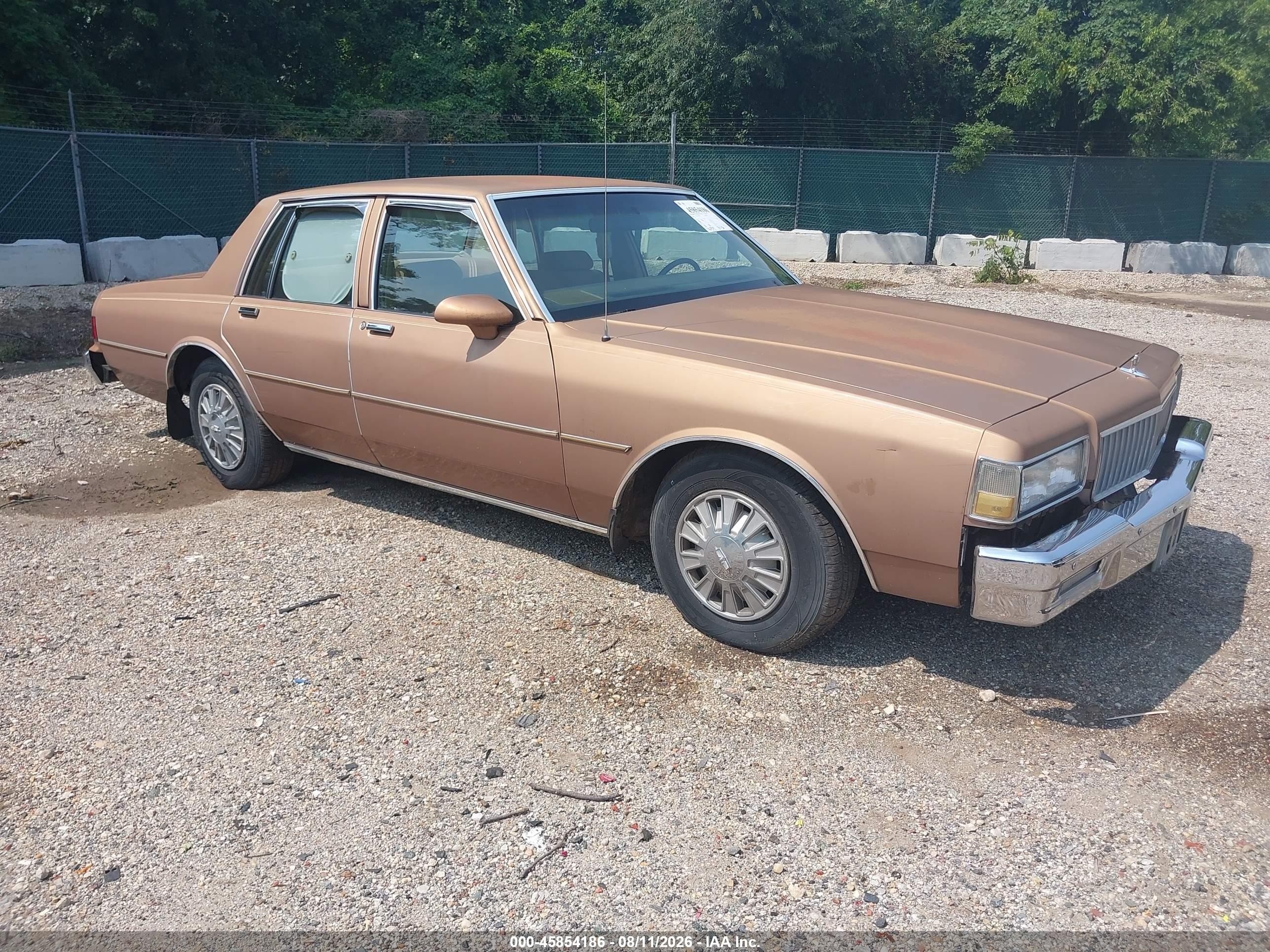 1989 Chevrolet Caprice   Tan vin: 1G1BL51E7KA158073