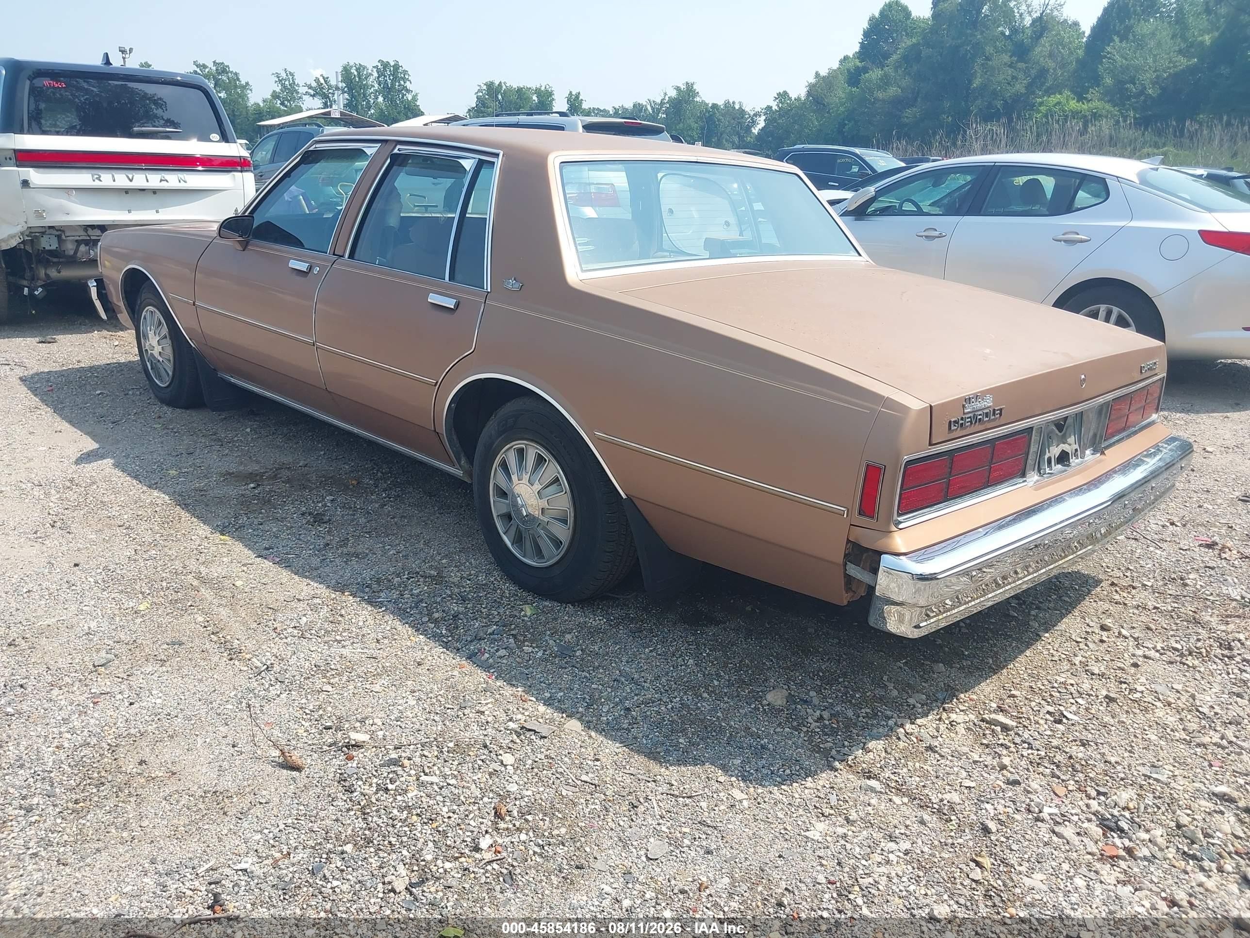 1989 Chevrolet Caprice   Tan vin: 1G1BL51E7KA158073
