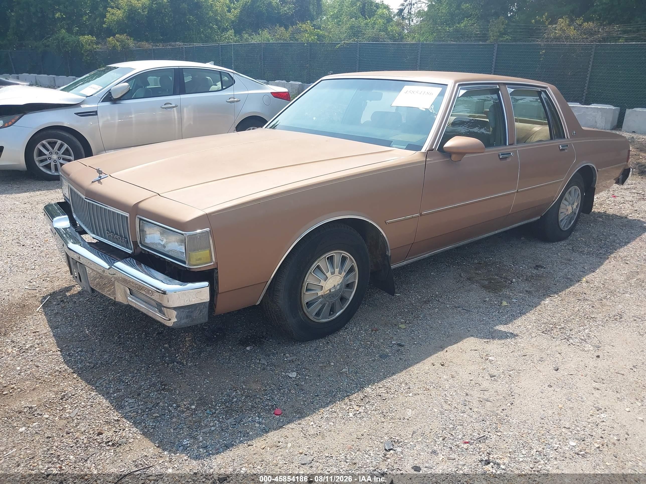 1989 Chevrolet Caprice   Tan vin: 1G1BL51E7KA158073