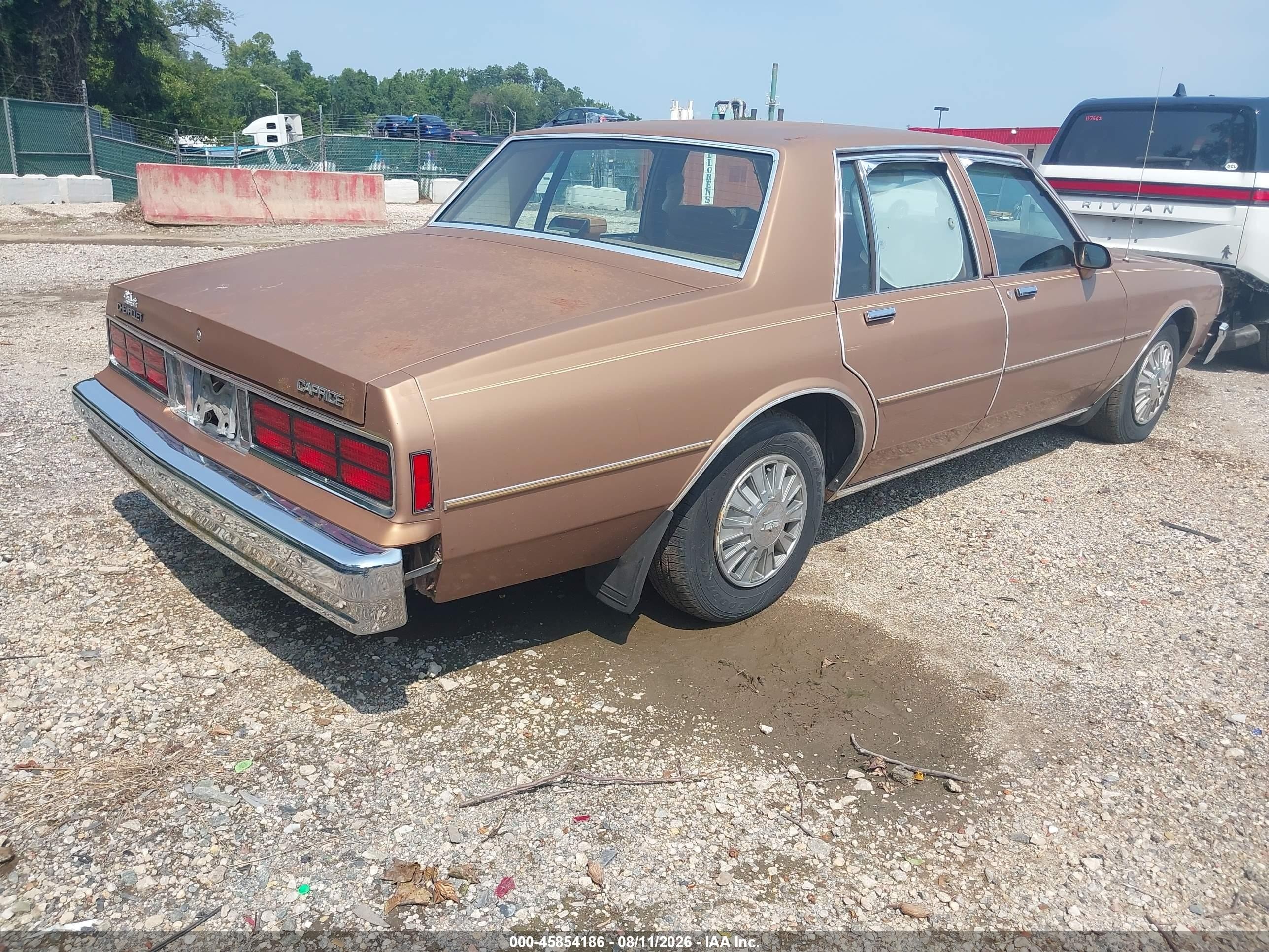 1989 Chevrolet Caprice   Tan vin: 1G1BL51E7KA158073