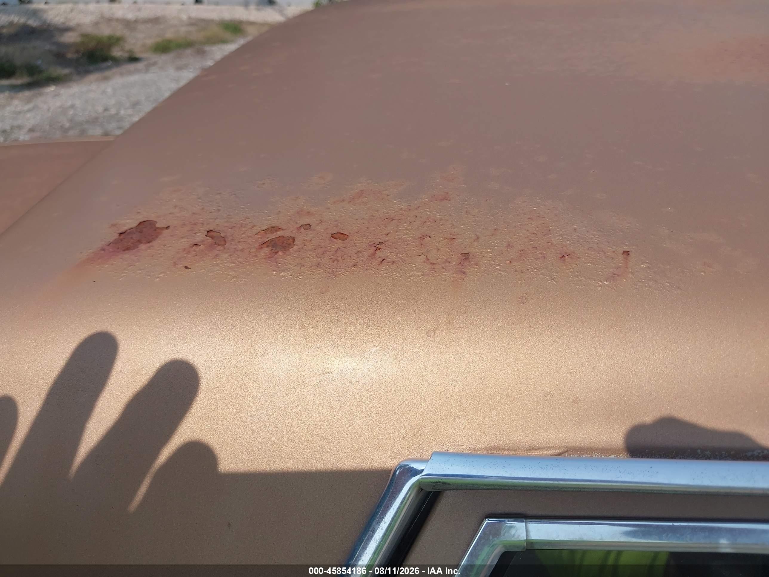 1989 Chevrolet Caprice   Tan vin: 1G1BL51E7KA158073
