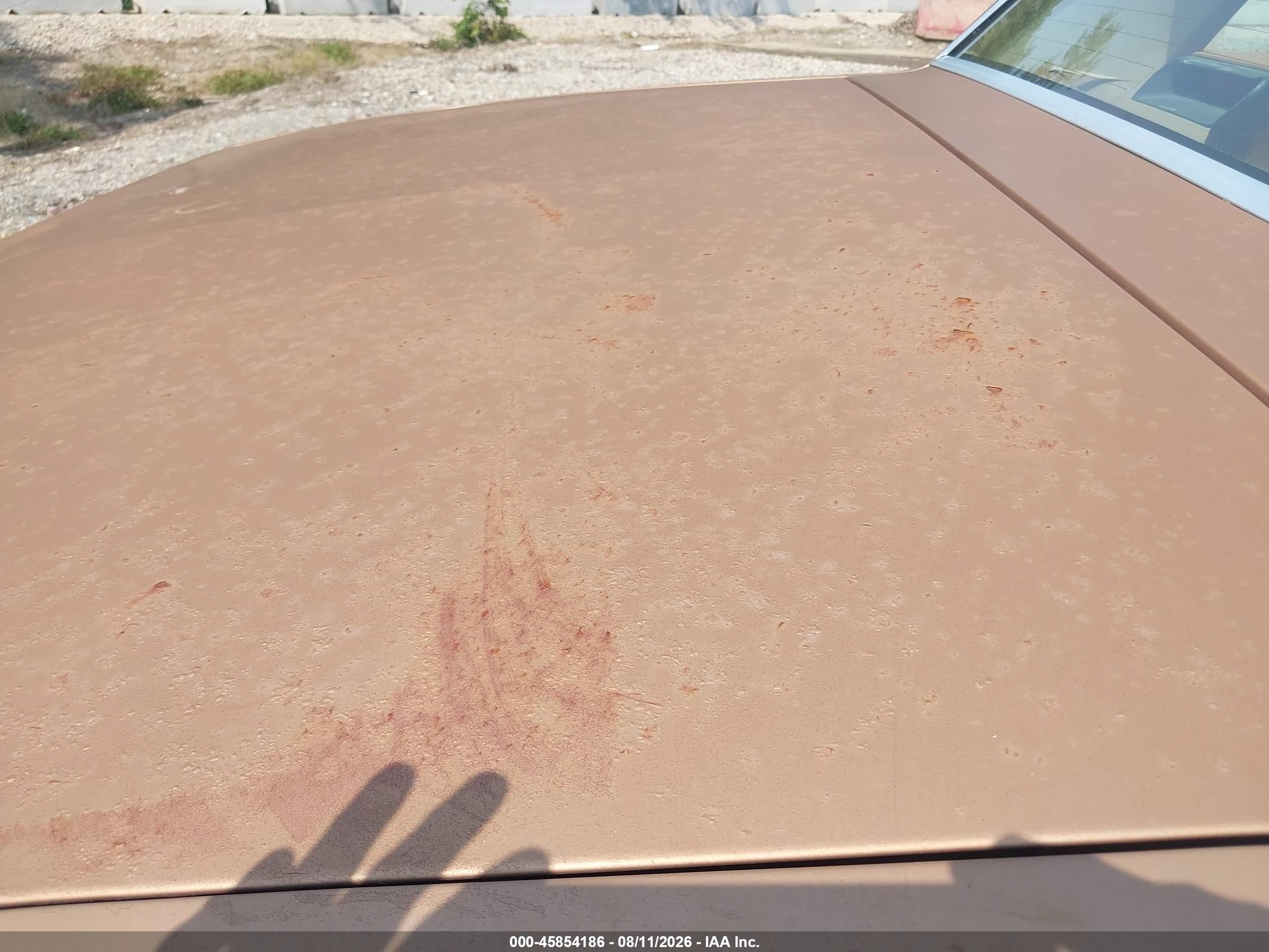 1989 Chevrolet Caprice   Tan vin: 1G1BL51E7KA158073