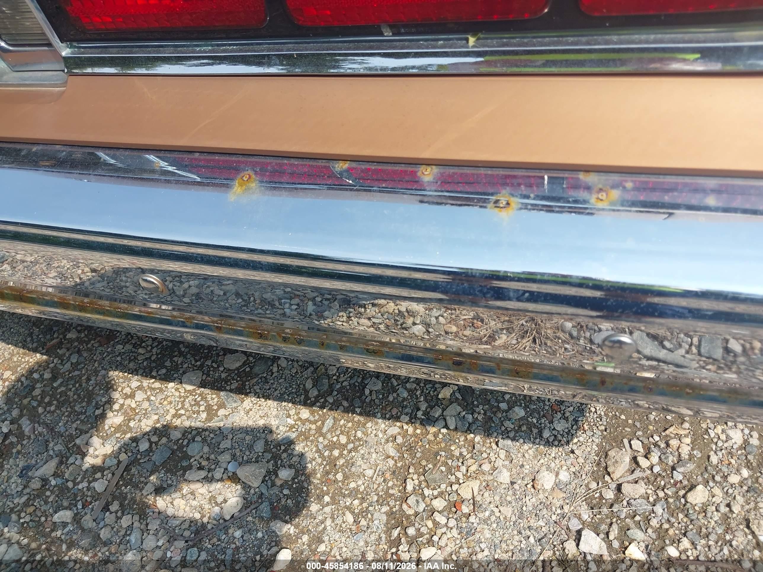 1989 Chevrolet Caprice   Tan vin: 1G1BL51E7KA158073