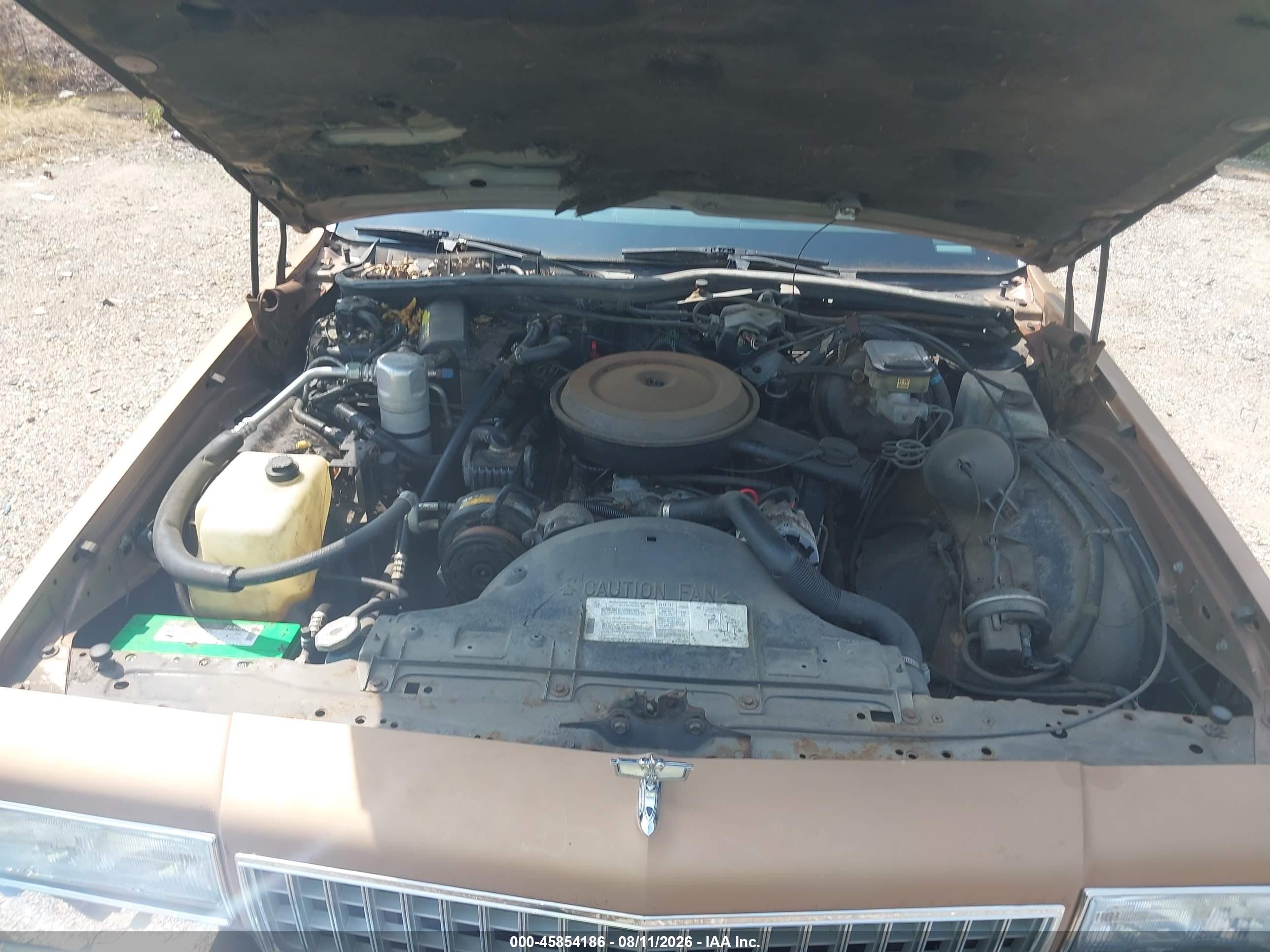 1989 Chevrolet Caprice   Tan vin: 1G1BL51E7KA158073