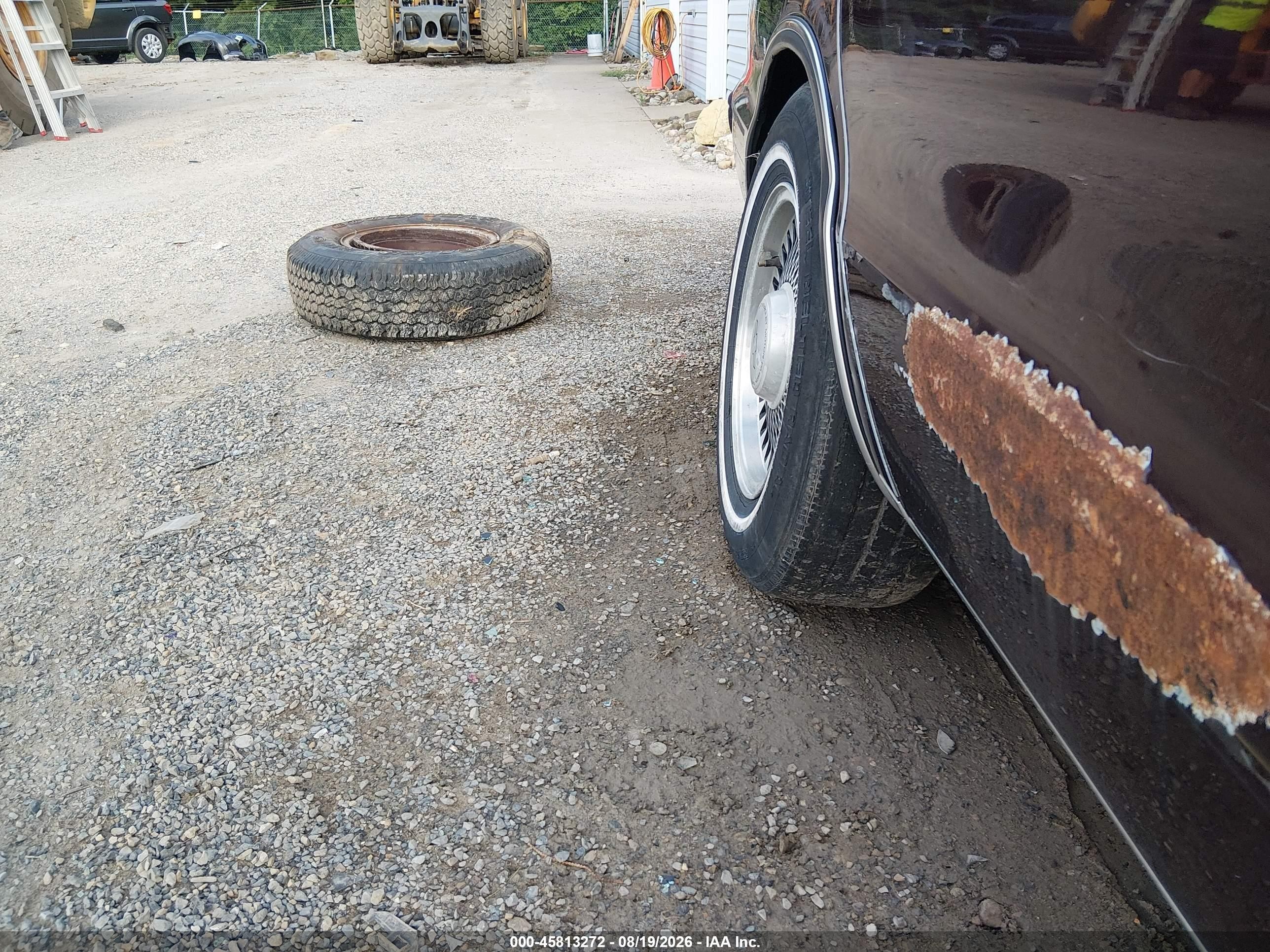 1995 Chevrolet Caprice / Impala Classic Ss Champagne vin: 1G1BL52P3SR104089