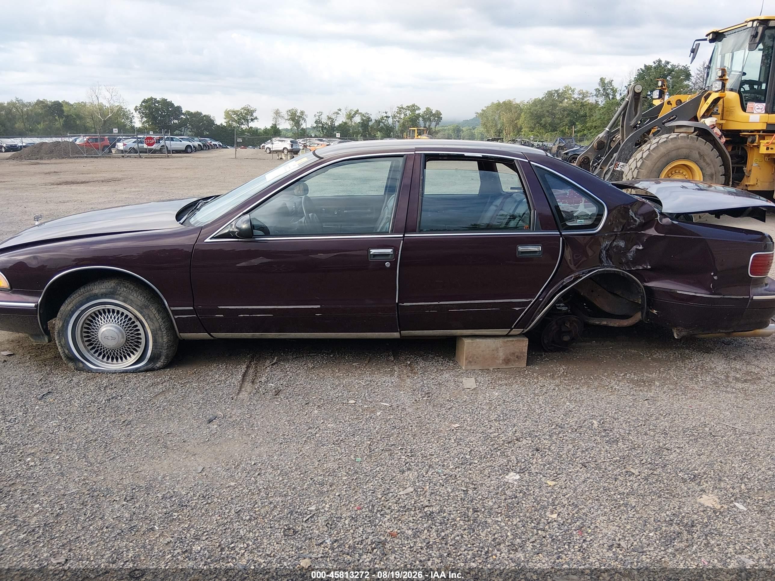 1995 Chevrolet Caprice / Impala Classic Ss Champagne vin: 1G1BL52P3SR104089