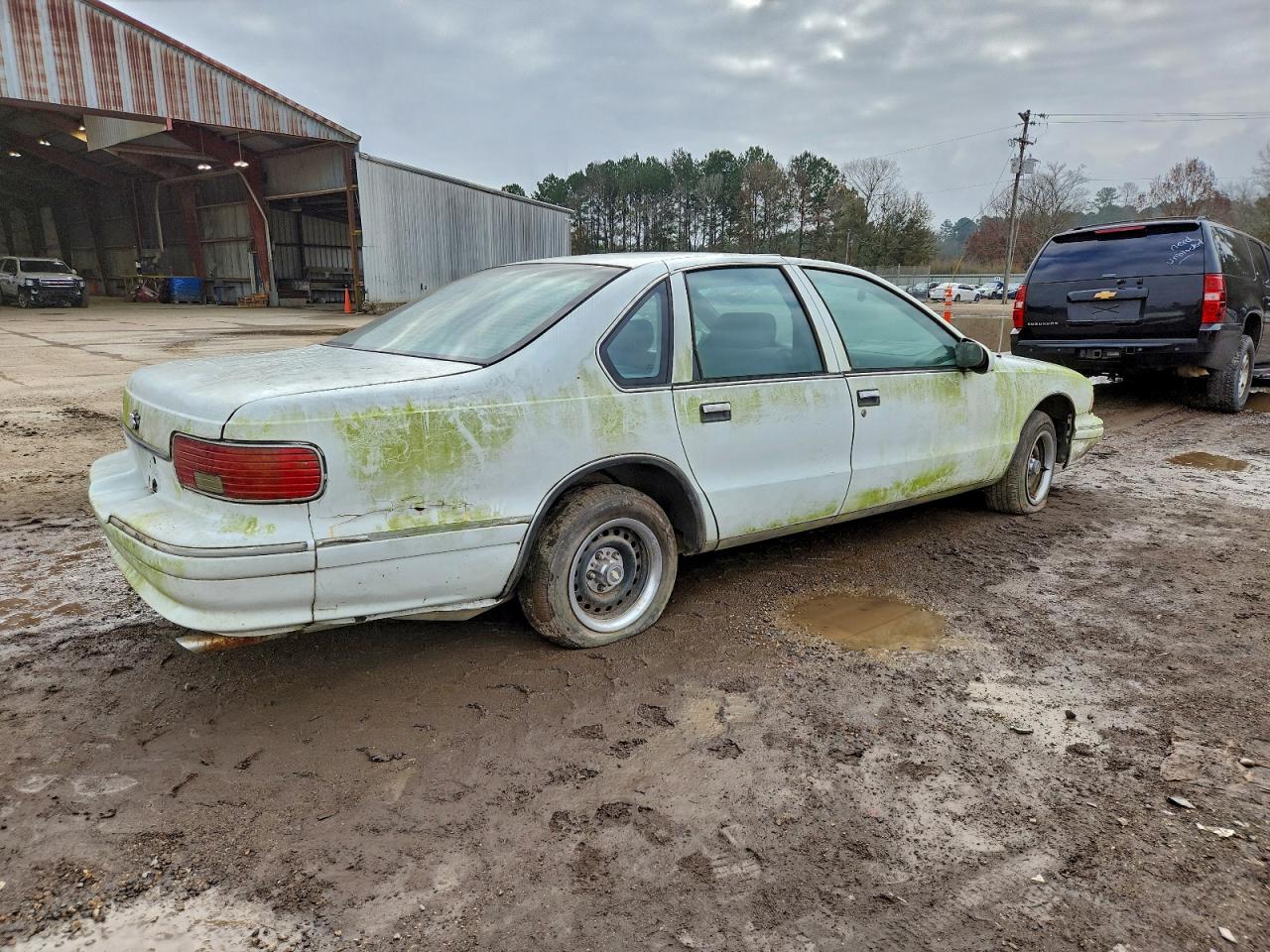 1996 Chevrolet Caprice / Impala Classic Ss White vin: 1G1BL52P3TR149003