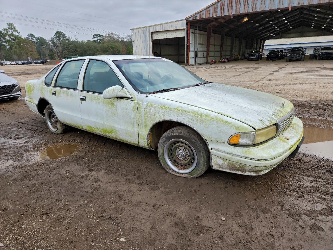 1996 Chevrolet Caprice / Impala Classic Ss White vin: 1G1BL52P3TR149003
