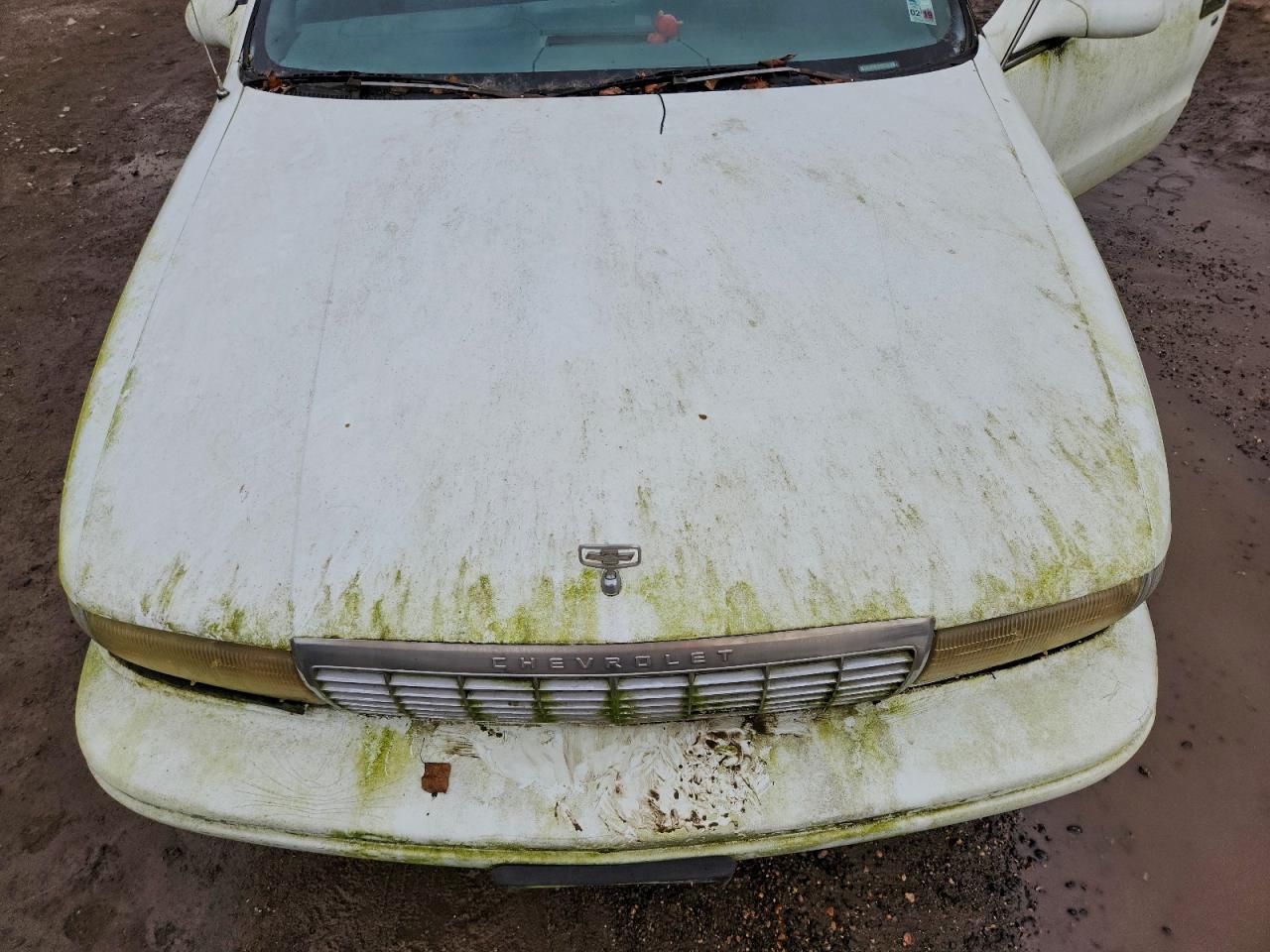 1996 Chevrolet Caprice / Impala Classic Ss White vin: 1G1BL52P3TR149003
