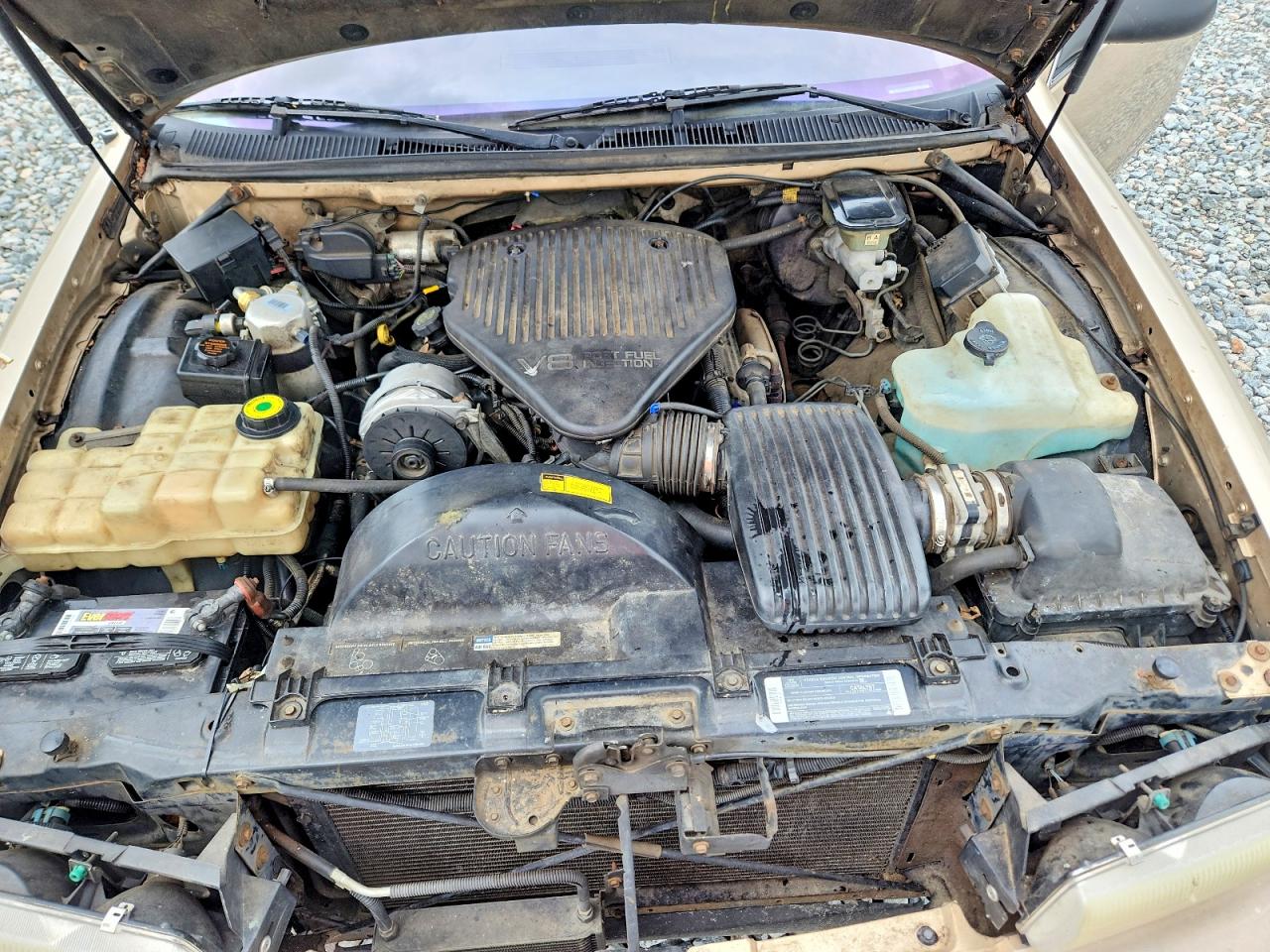 1995 Chevrolet Caprice / Impala Classic Ss Tan vin: 1G1BL52P4SR157433