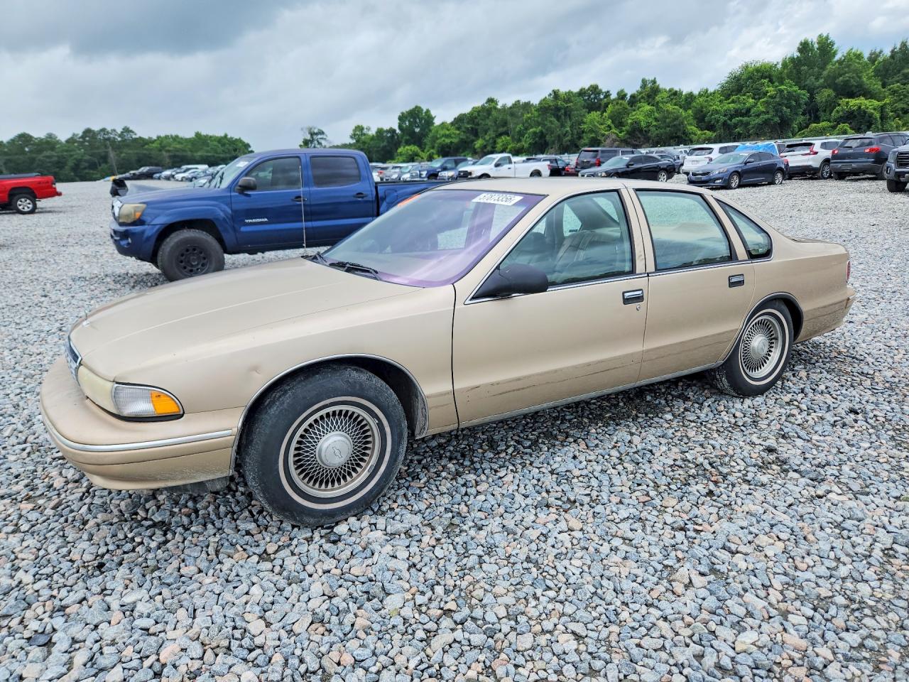 1995 Chevrolet Caprice / Impala Classic Ss Tan vin: 1G1BL52P4SR157433