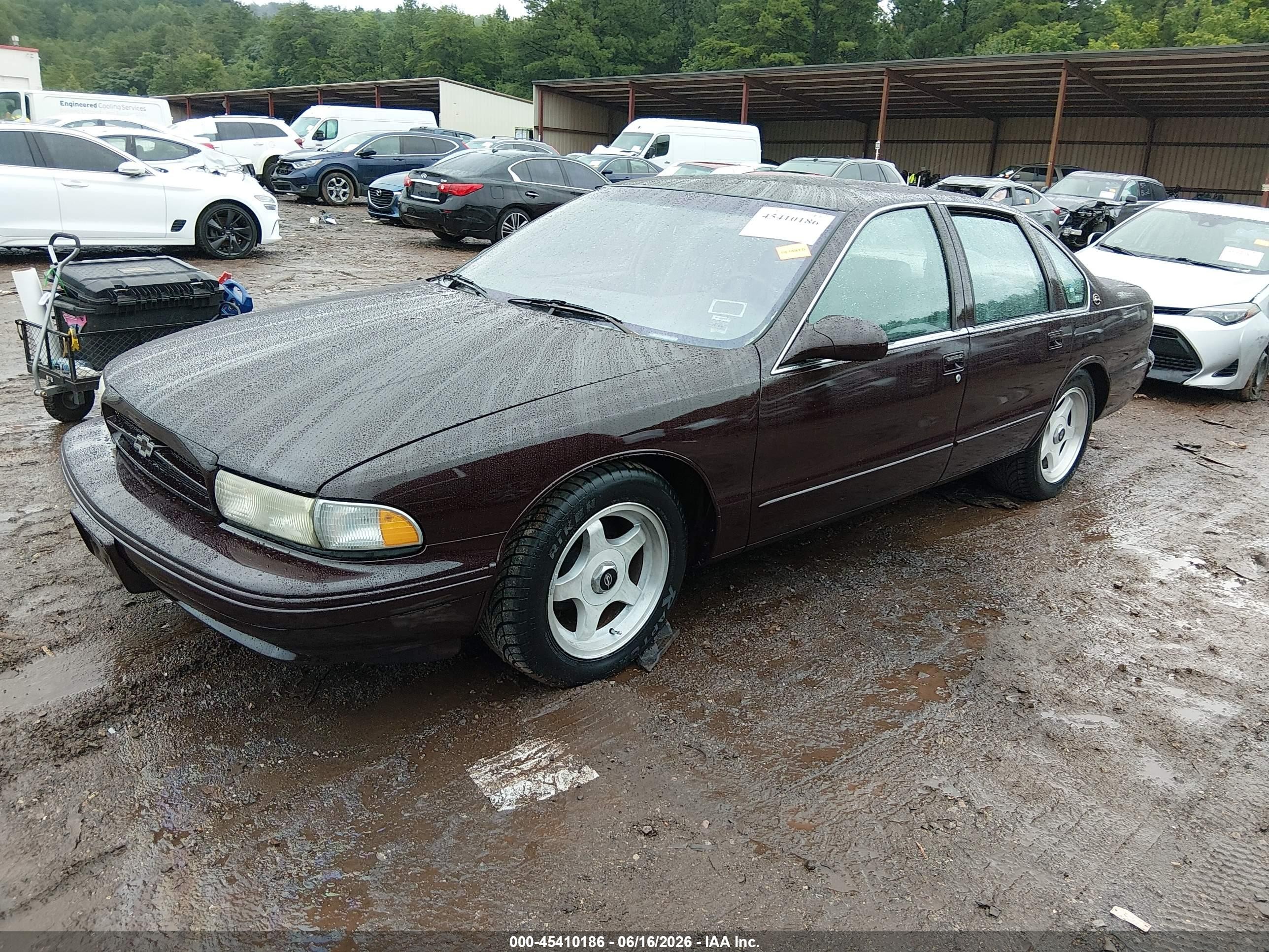 1995 Chevrolet Caprice / Impala Classic Ss Burgundy vin: 1G1BL52P9SR175250