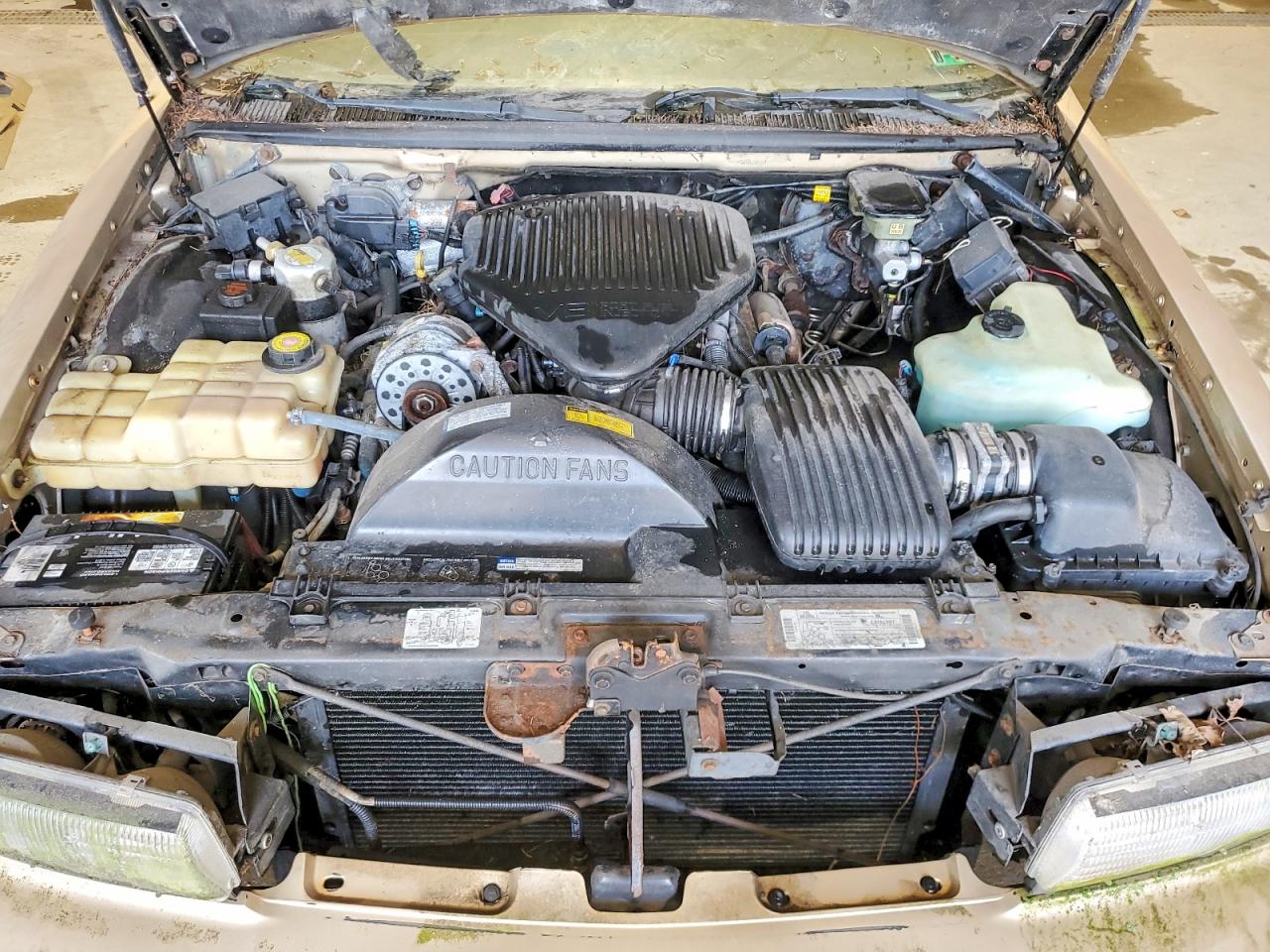 1996 Chevrolet Caprice / Impala Classic Ss Tan vin: 1G1BL52PXTR194956