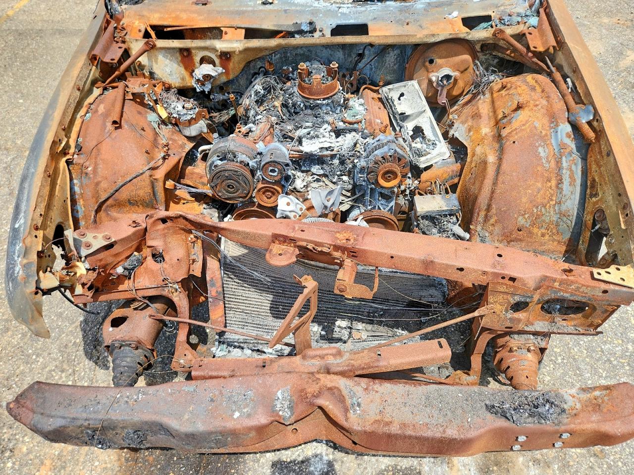 1992 Chevrolet Caprice Burn vin: 1G1BL53E9NR115258