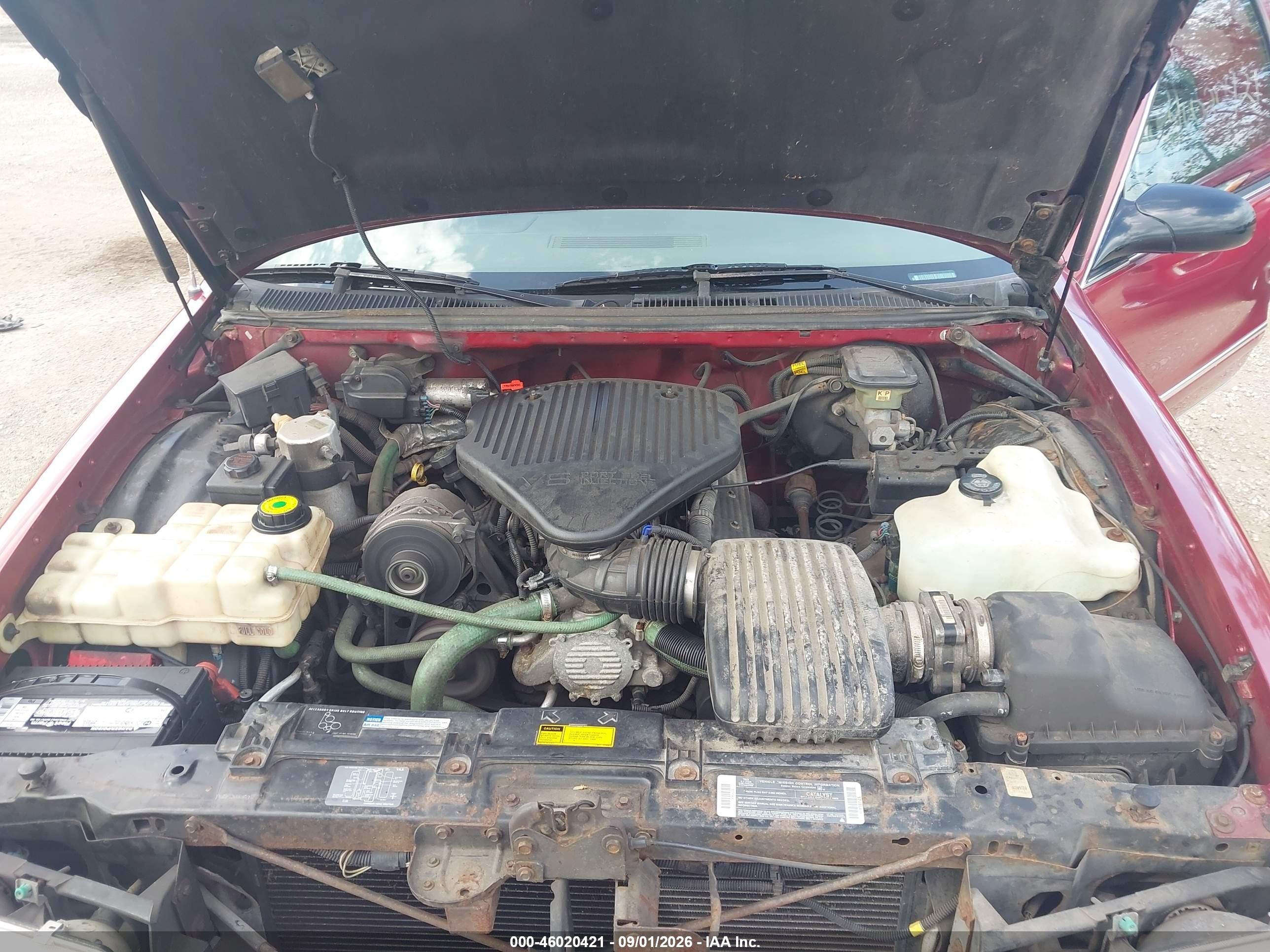 1995 Chevrolet Caprice Classic Красный vin: 1G1BL82P4SR176582