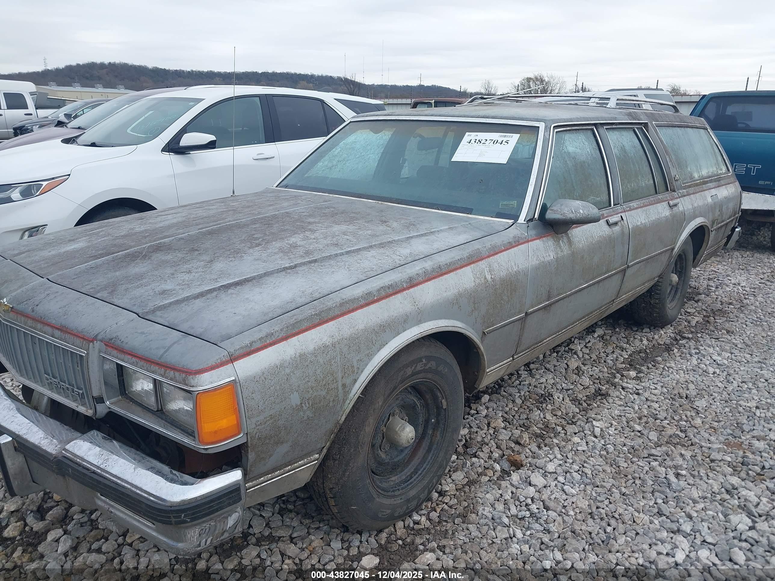 1986 Chevrolet Caprice Classic Gray vin: 1G1BN35Y0GX201515