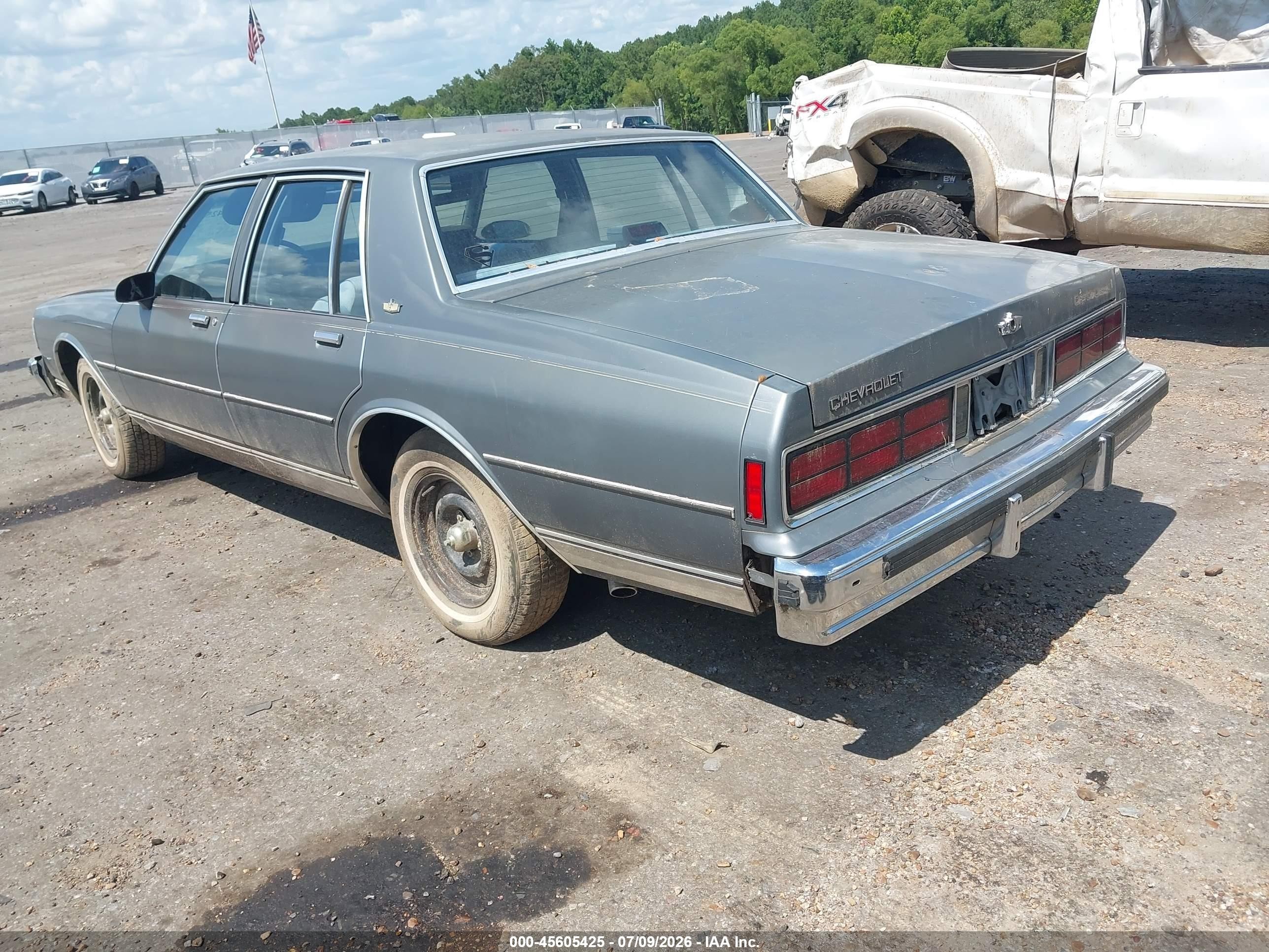 1987 Chevrolet Caprice Classic Зеленый vin: 1G1BN51H0HX149046