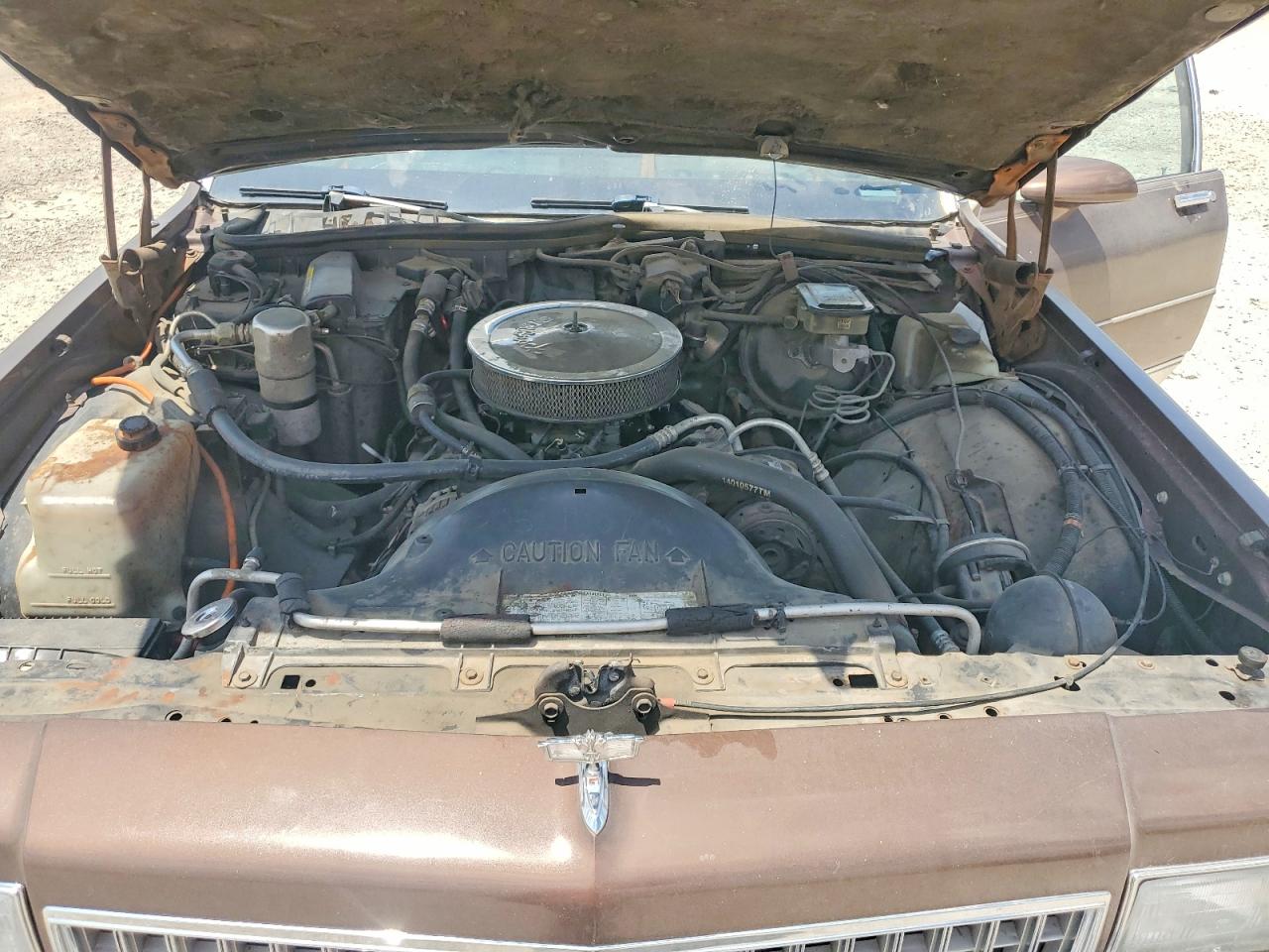1988 Chevrolet Caprice Classic Brown vin: 1G1BN51H4JR108669