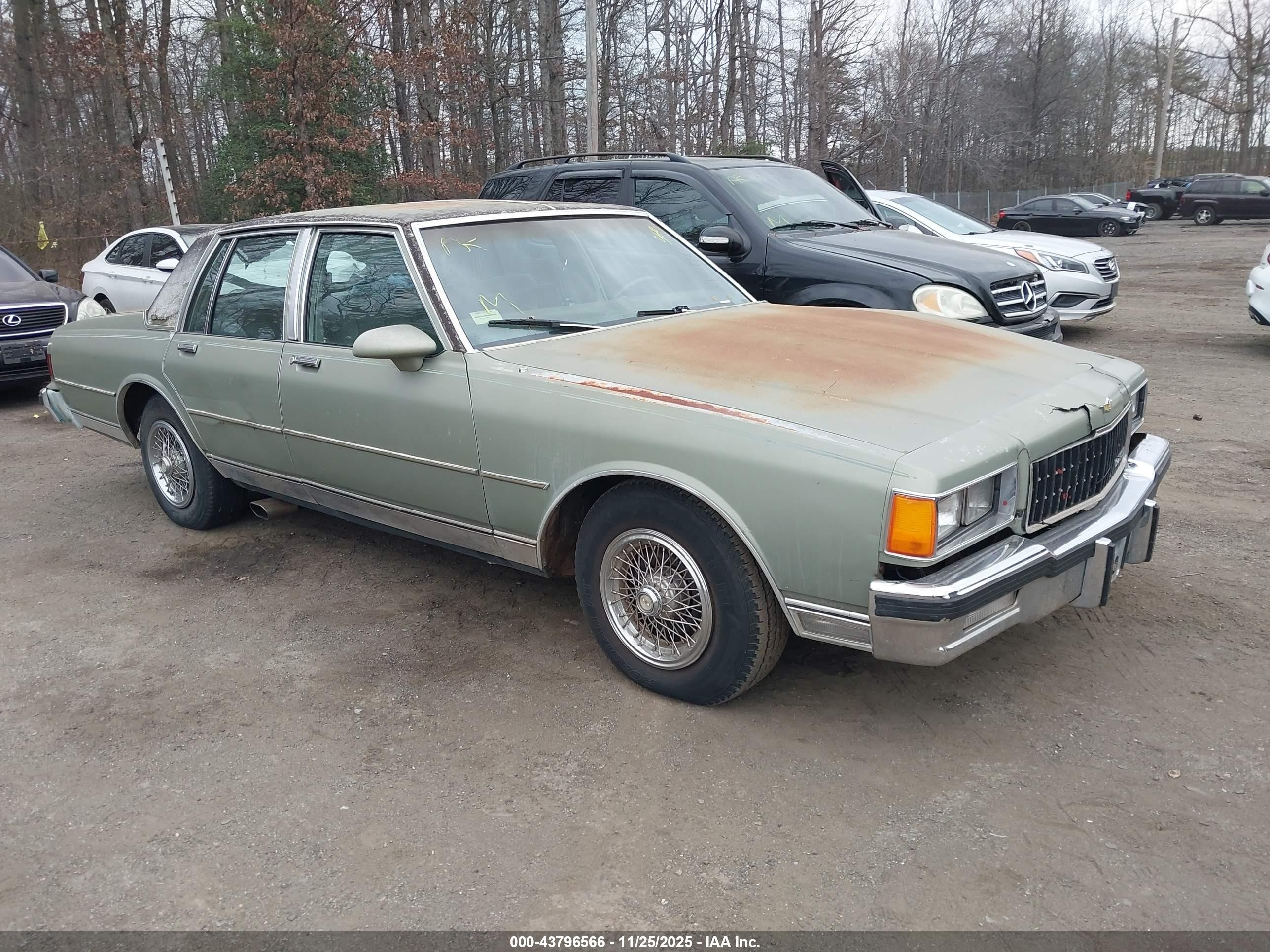 1986 Chevrolet Caprice Classic Green vin: 1G1BN69H0GY166819