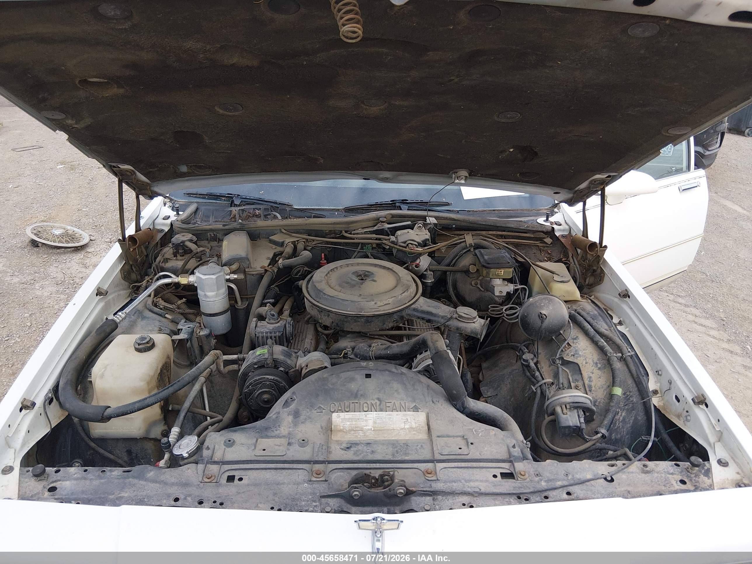 1989 Chevrolet Caprice Classic Brougham Белый vin: 1G1BU51E3KA142062