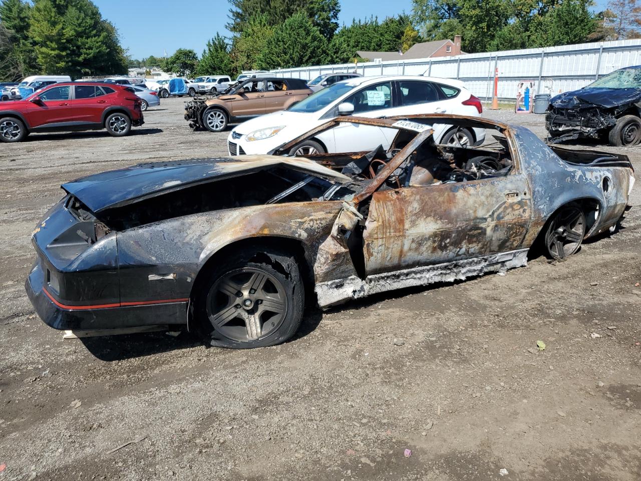 1989 Chevrolet Camaro Черный vin: 1G1FP2189KL107693