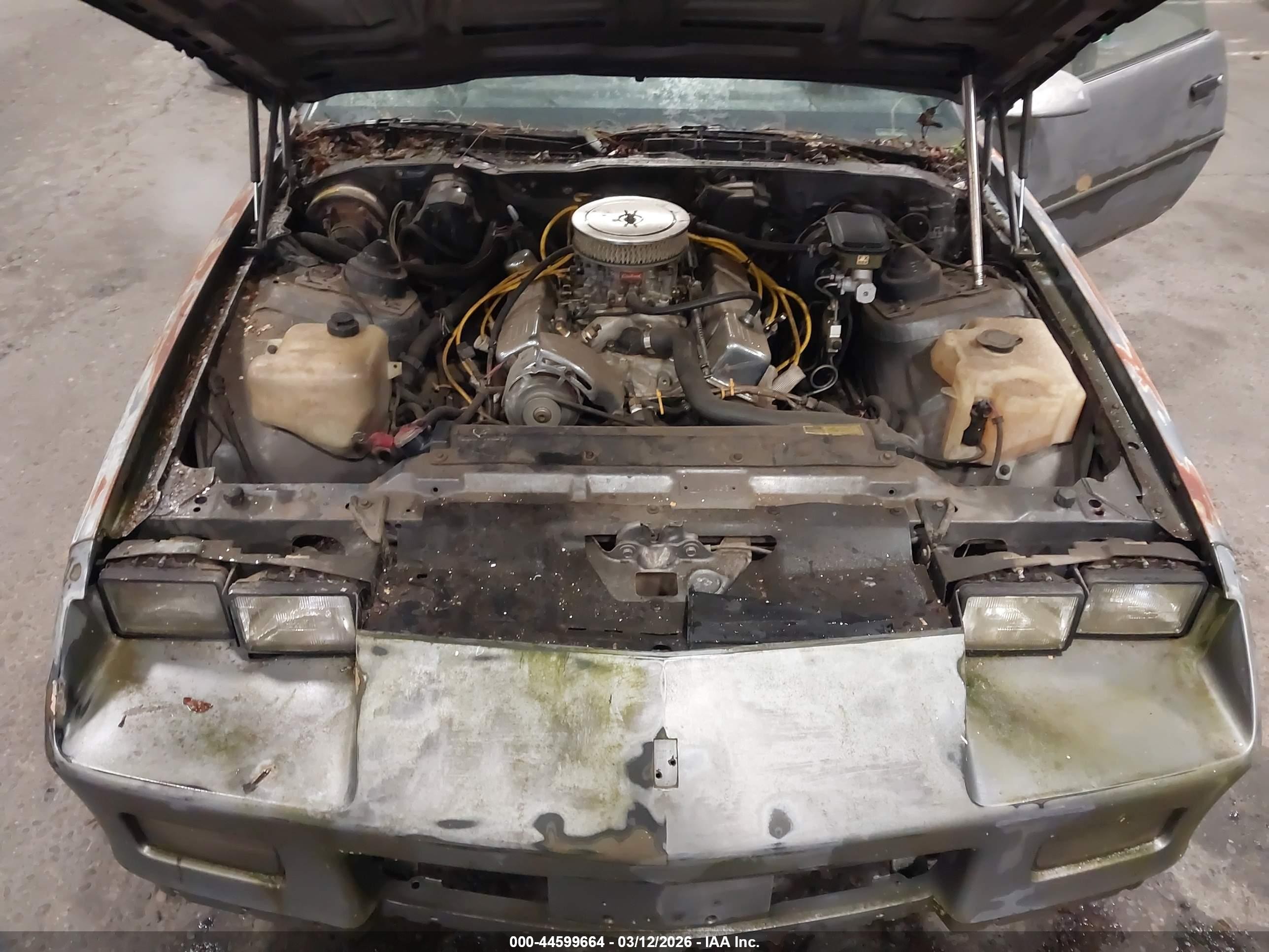 1988 Chevrolet Camaro   Gray vin: 1G1FP21E1JL166760
