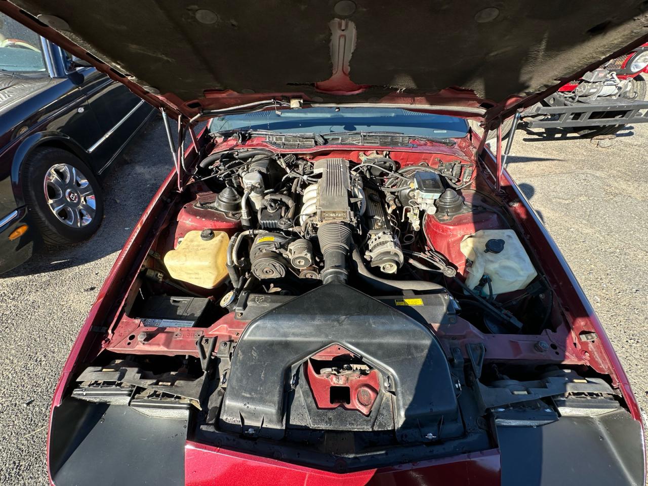 1988 Chevrolet Camaro Burgundy vin: 1G1FP21F1JL138014