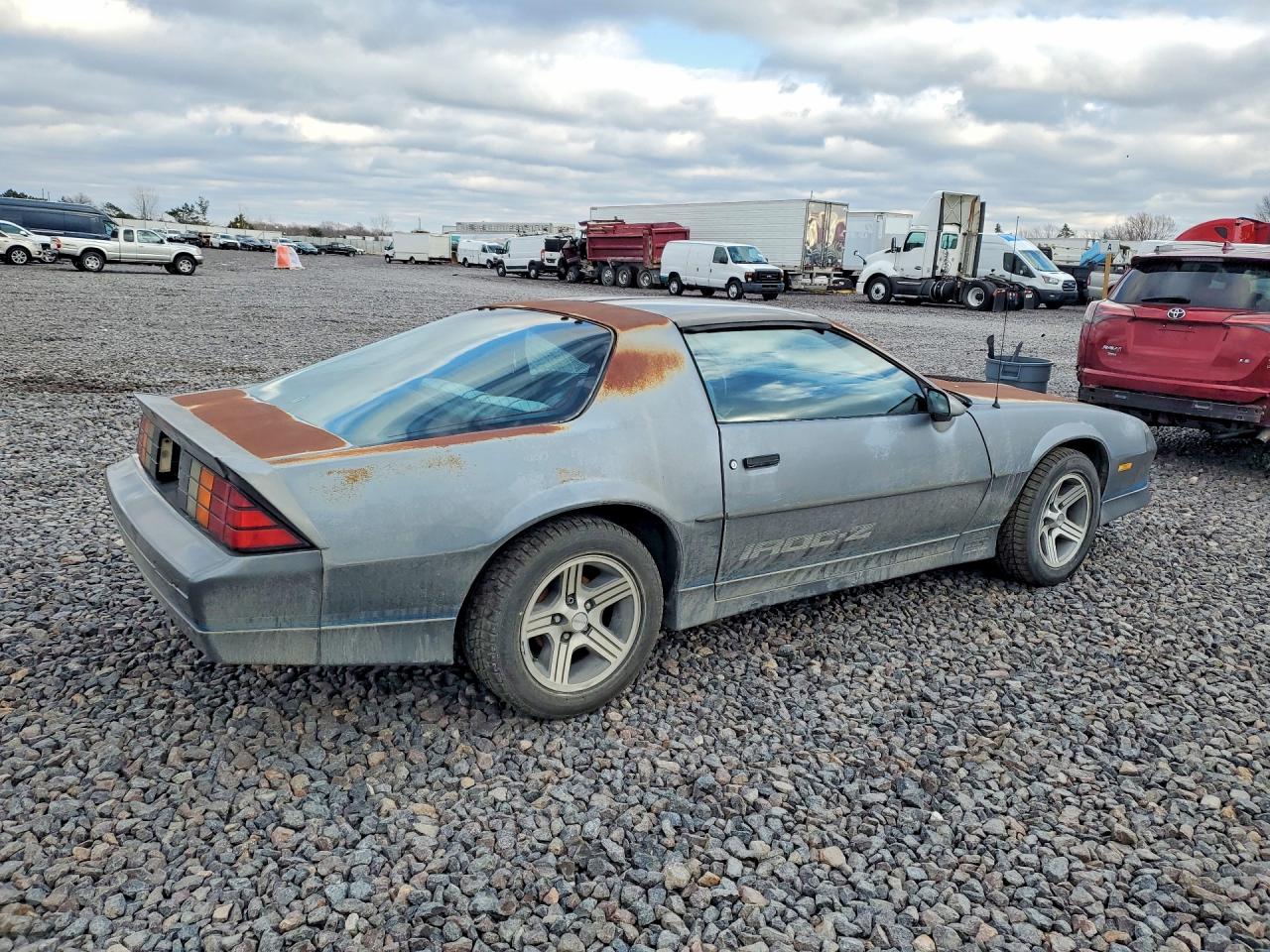 1988 Chevrolet Camaro Gray vin: 1G1FP21F4JL134524