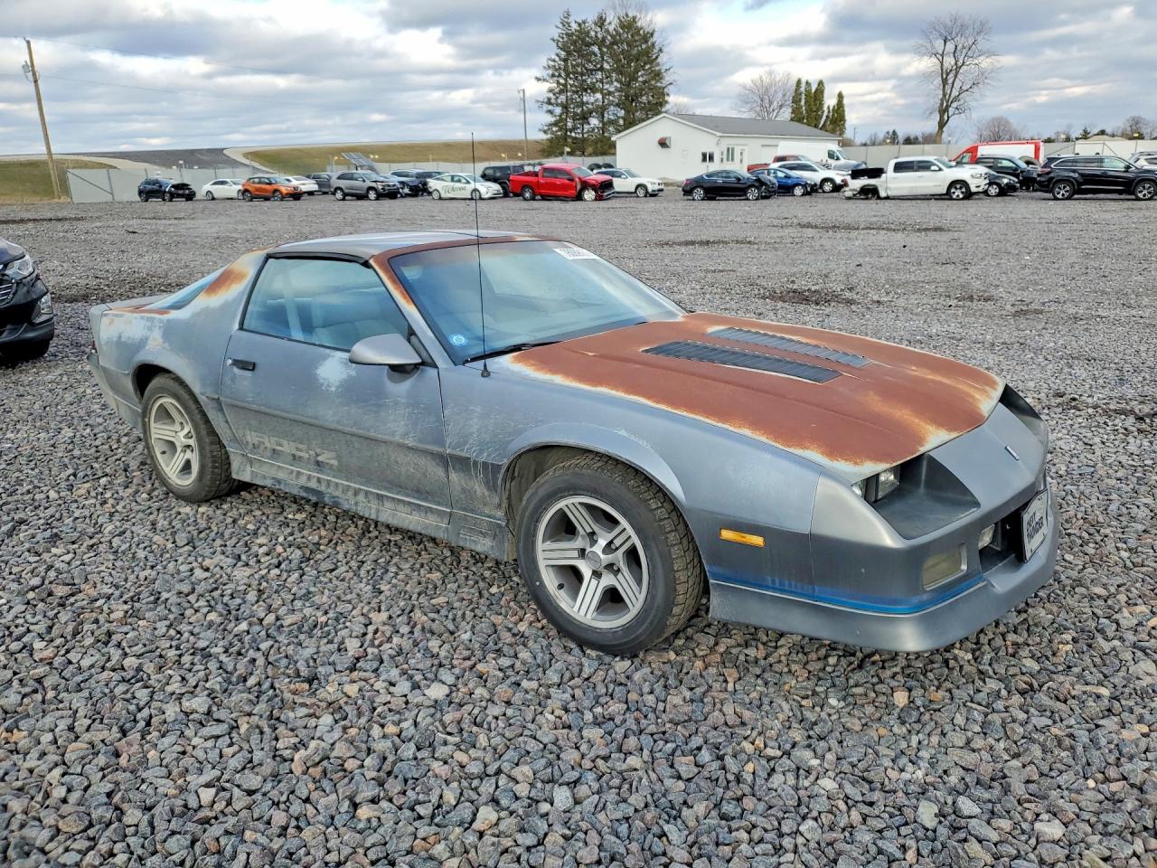 1988 Chevrolet Camaro Gray vin: 1G1FP21F4JL134524