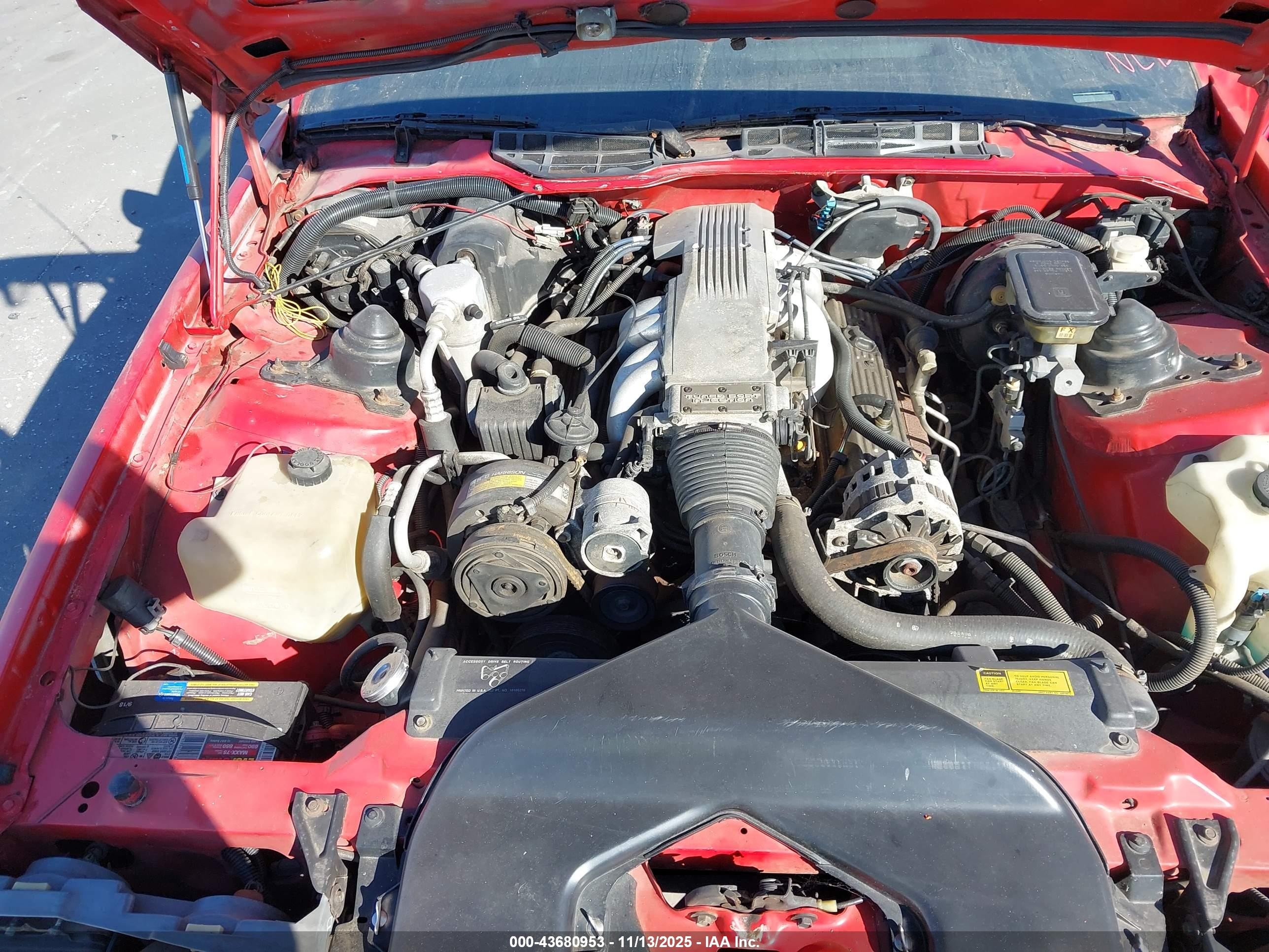 1989 Chevrolet Camaro   Red vin: 1G1FP21F9KL132317