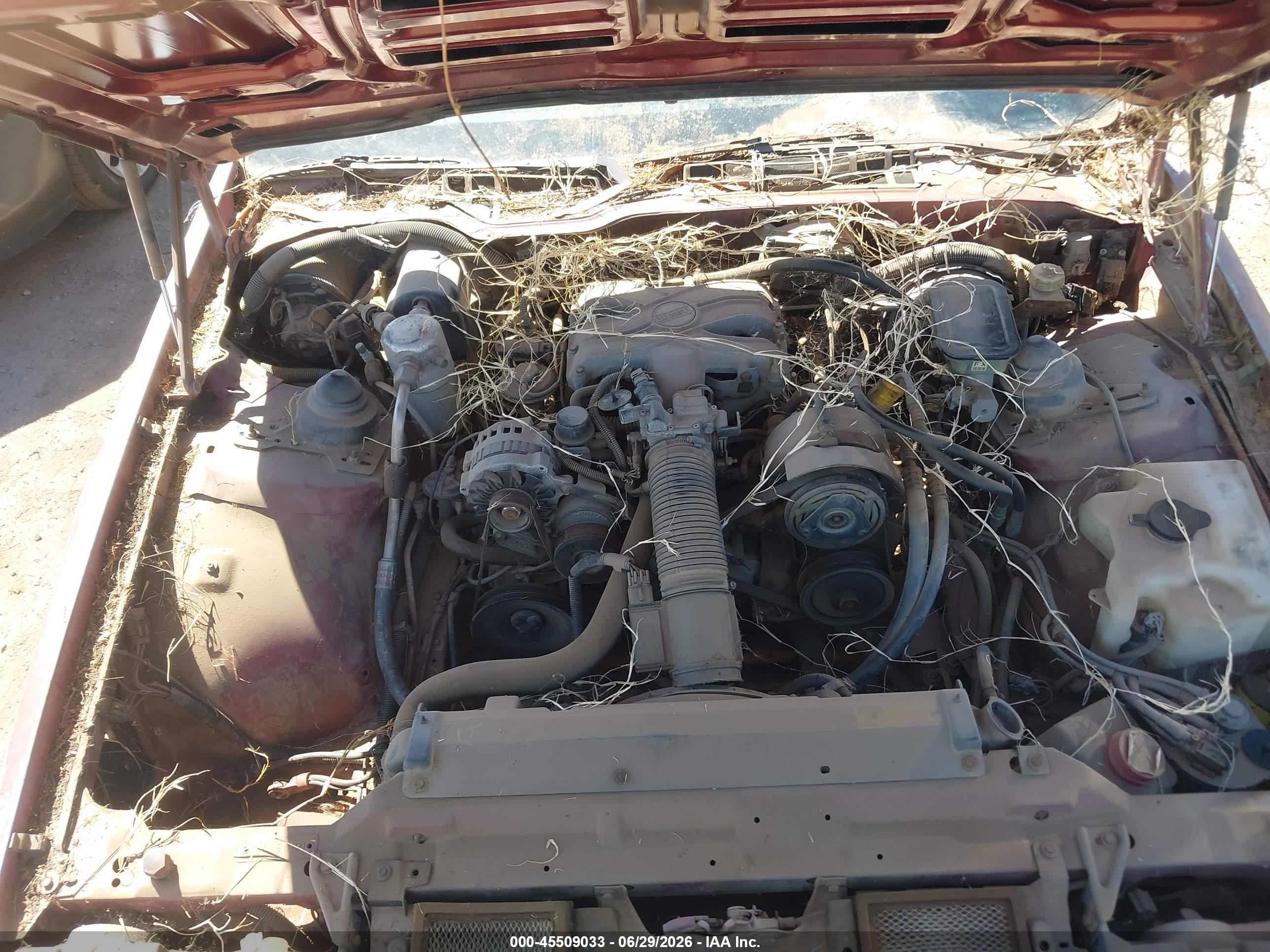 1988 Chevrolet Camaro   Maroon vin: 1G1FP21S0JL148062