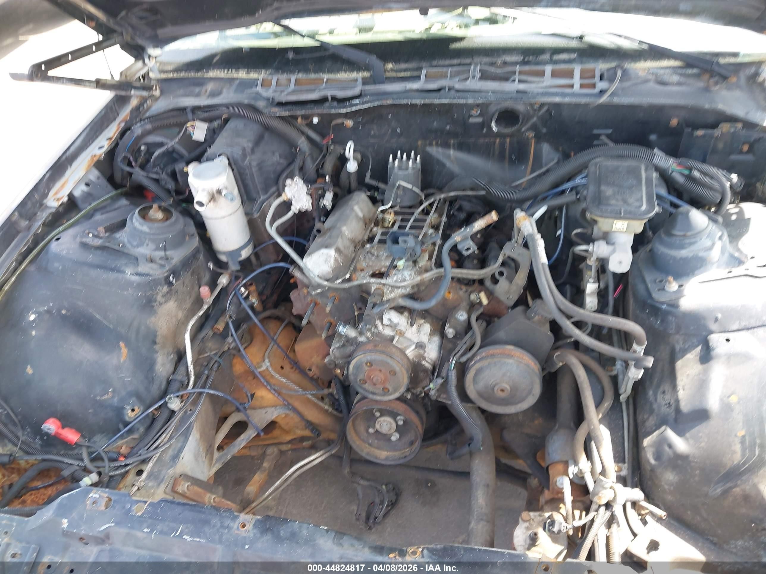 1988 Chevrolet Camaro   Black vin: 1G1FP21SXJL141913