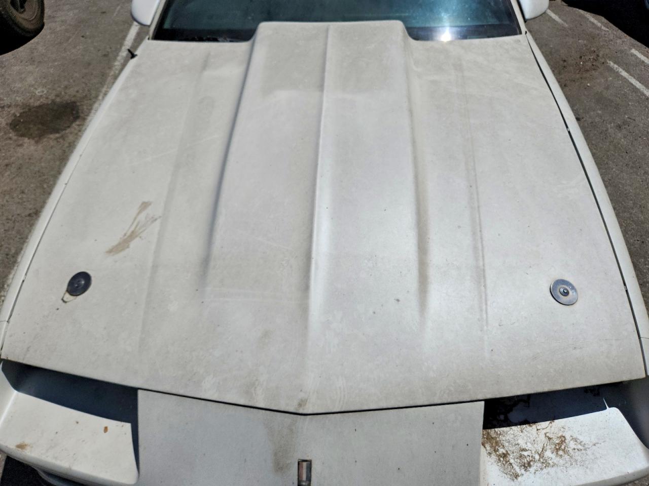 1989 Chevrolet Camaro Two Tone vin: 1G1FP21SXKL182768