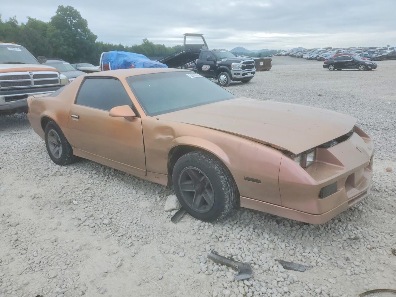 1990 Chevrolet Camaro Rs Brown vin: 1G1FP23E6LL123211