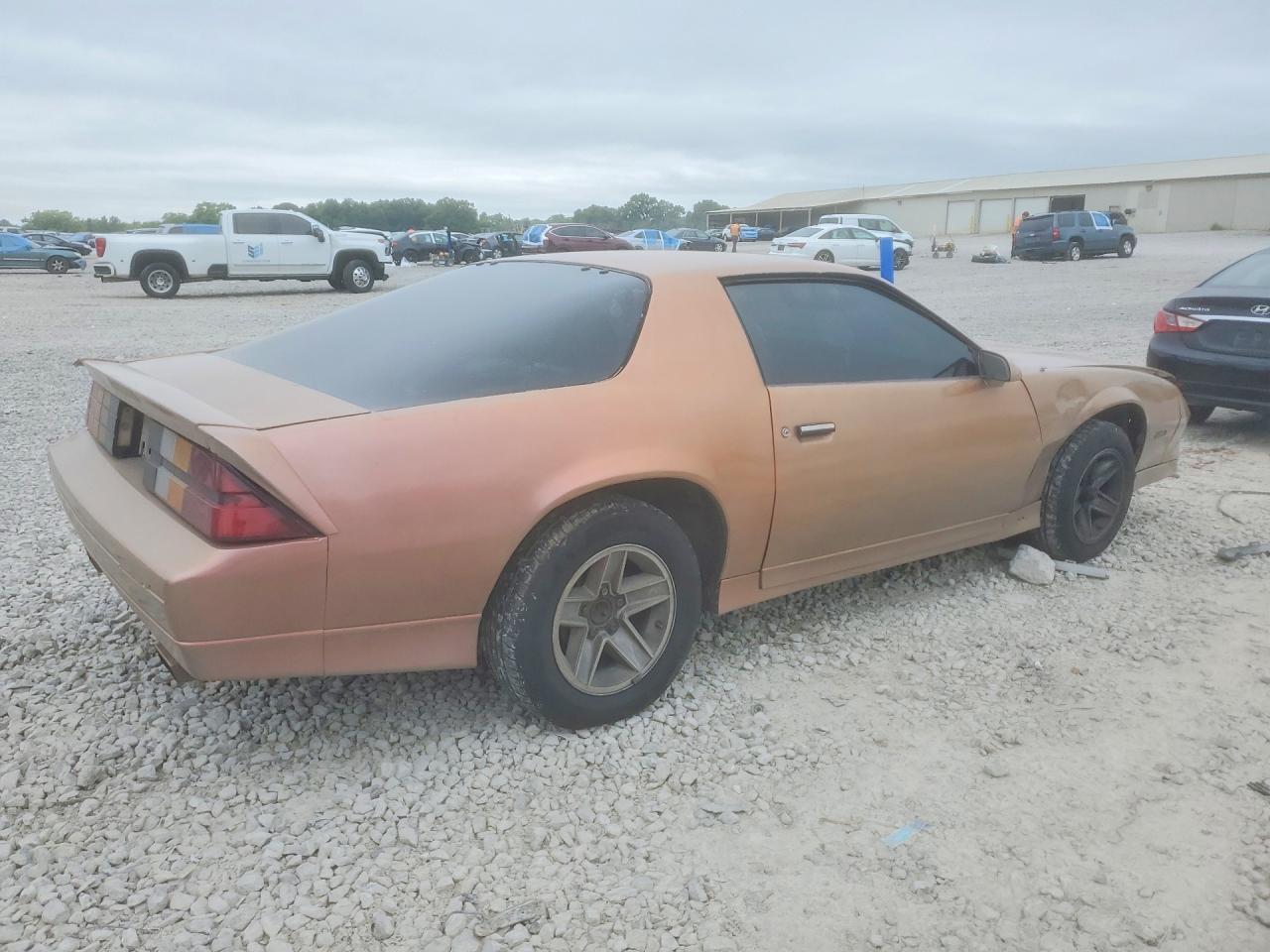 1990 Chevrolet Camaro Rs Brown vin: 1G1FP23E6LL123211
