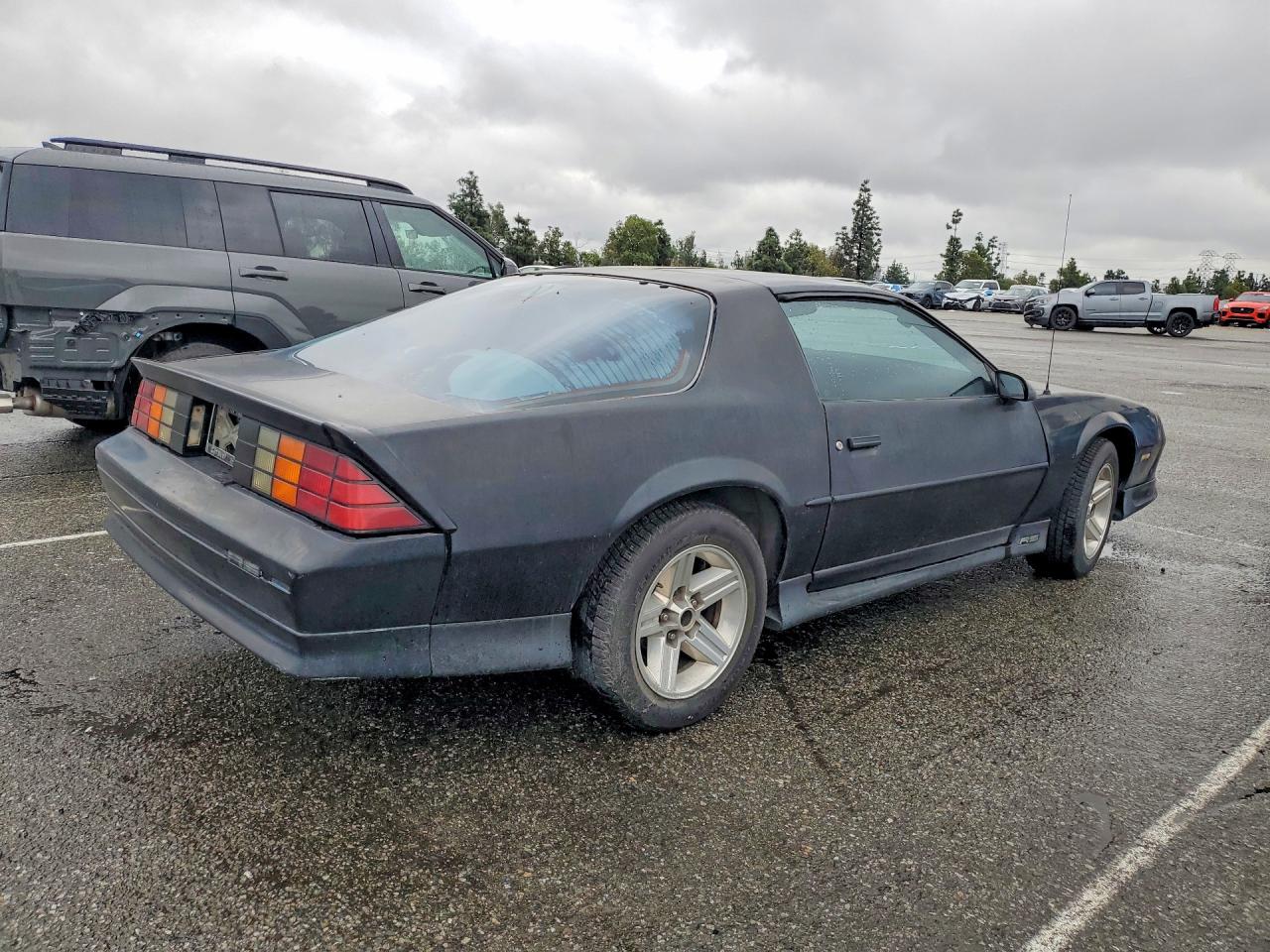 1991 Chevrolet Camaro Rs Black vin: 1G1FP23E6ML116289