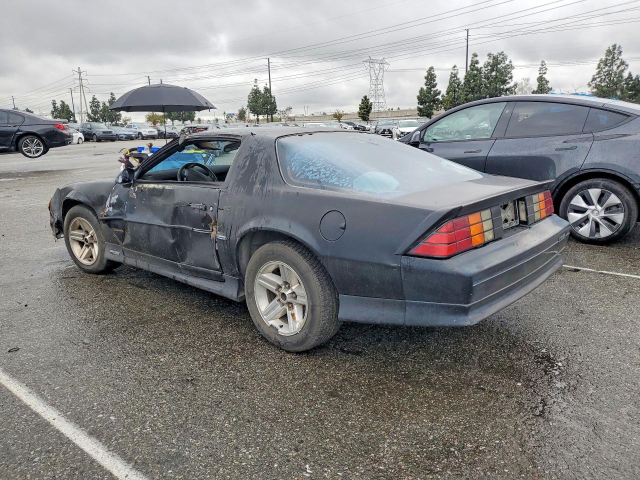 1991 Chevrolet Camaro Rs Black vin: 1G1FP23E6ML116289