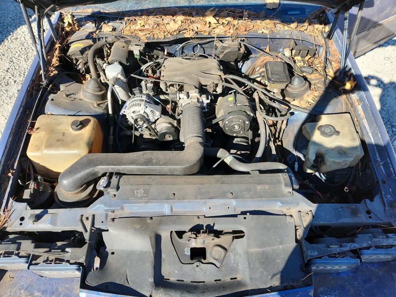 1991 Chevrolet Camaro Rs Blue vin: 1G1FP23T2ML170834