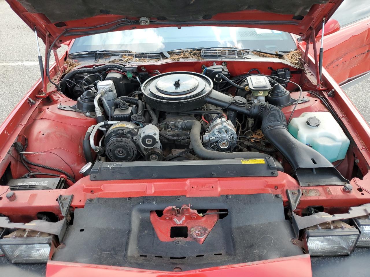 1988 Chevrolet Camaro Red vin: 1G1FP31E0JL169204